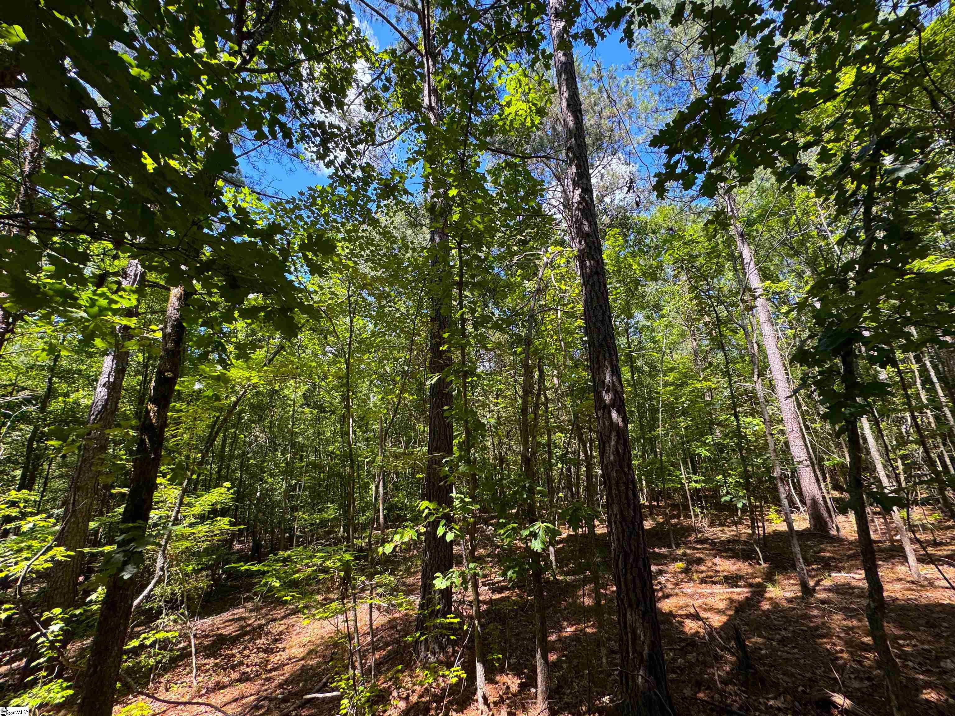 401 Coleman Road Clinton, SC 29325