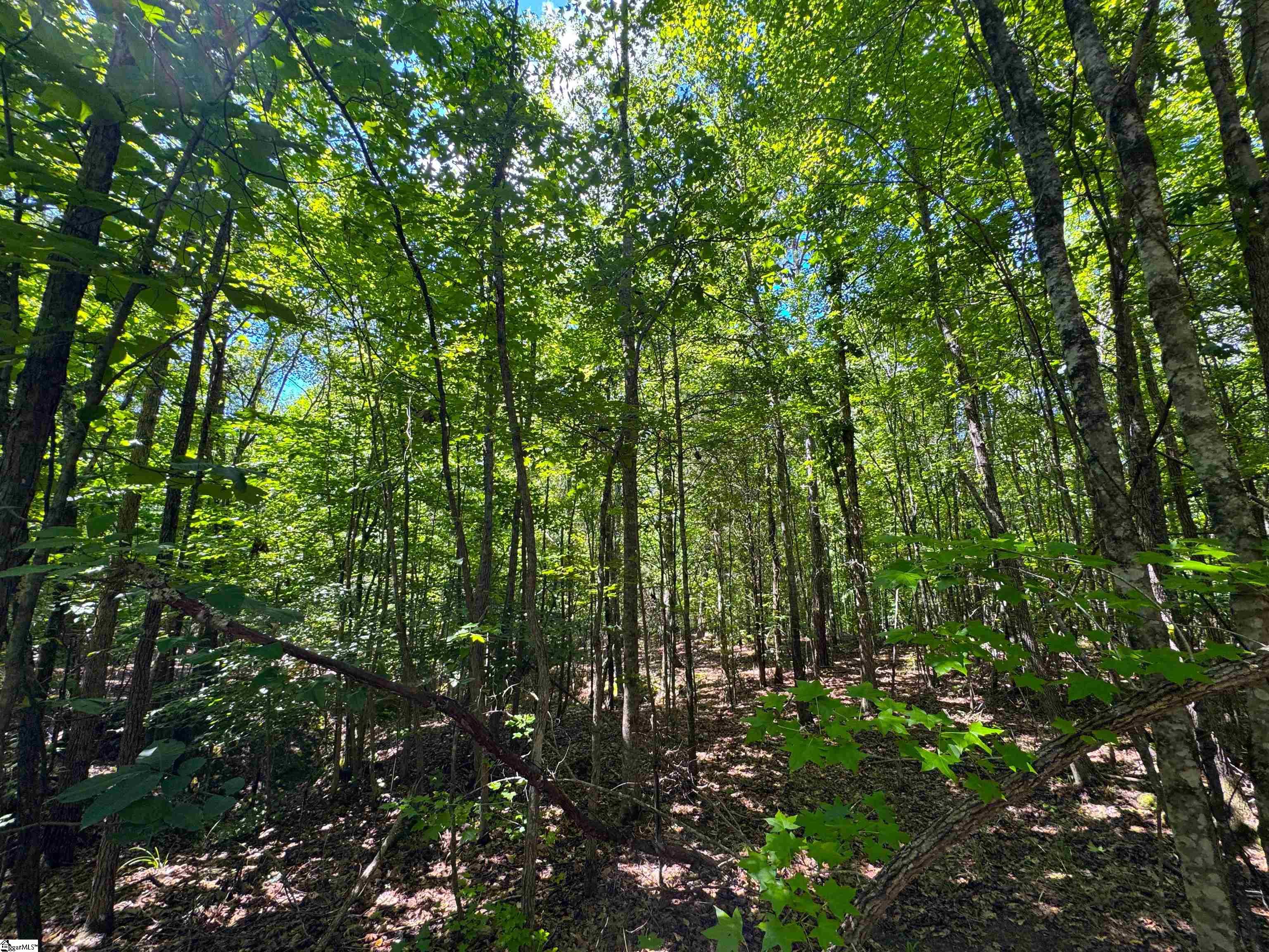 401 Coleman Road Clinton, SC 29325