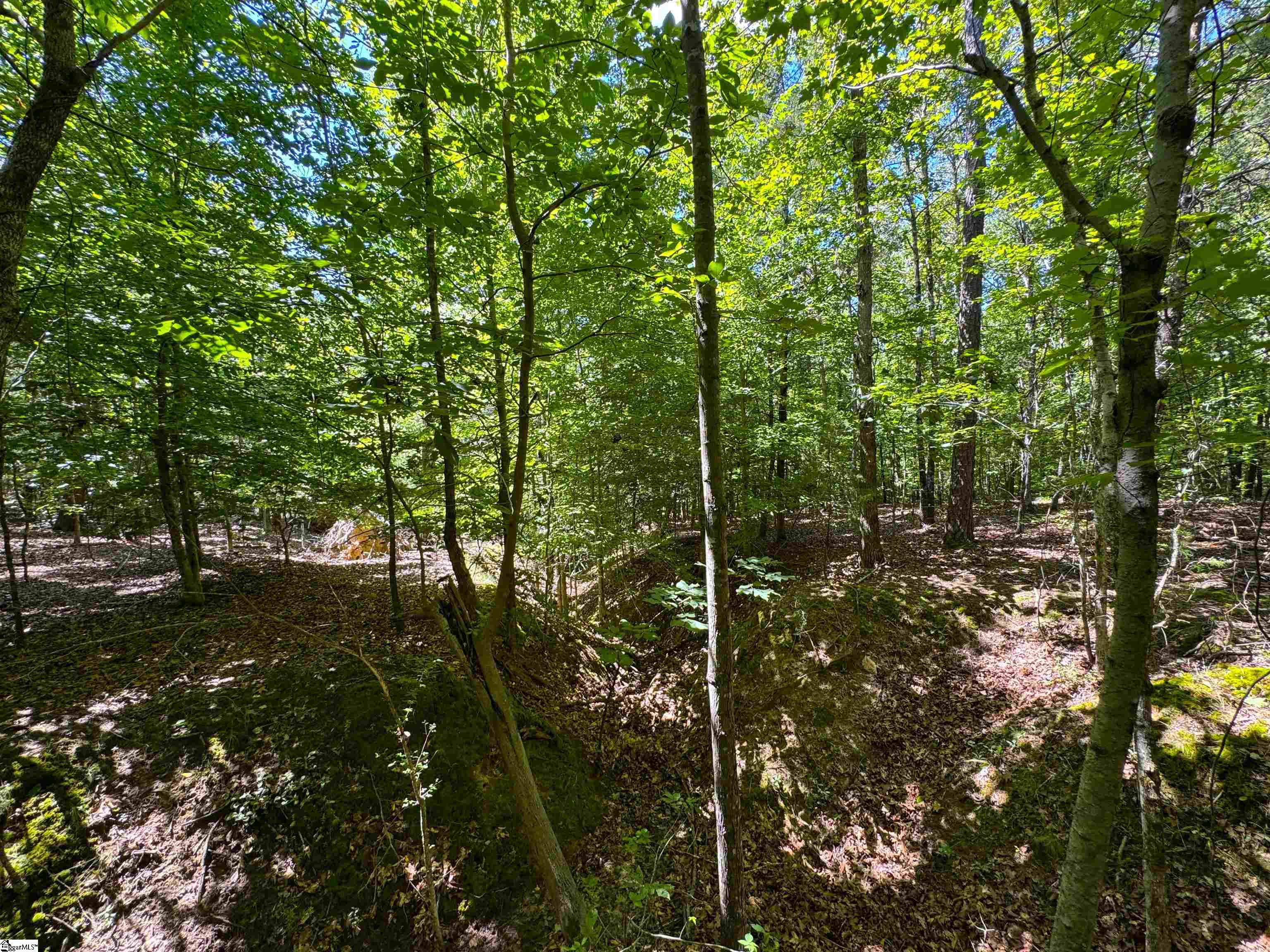 401 Coleman Road Clinton, SC 29325