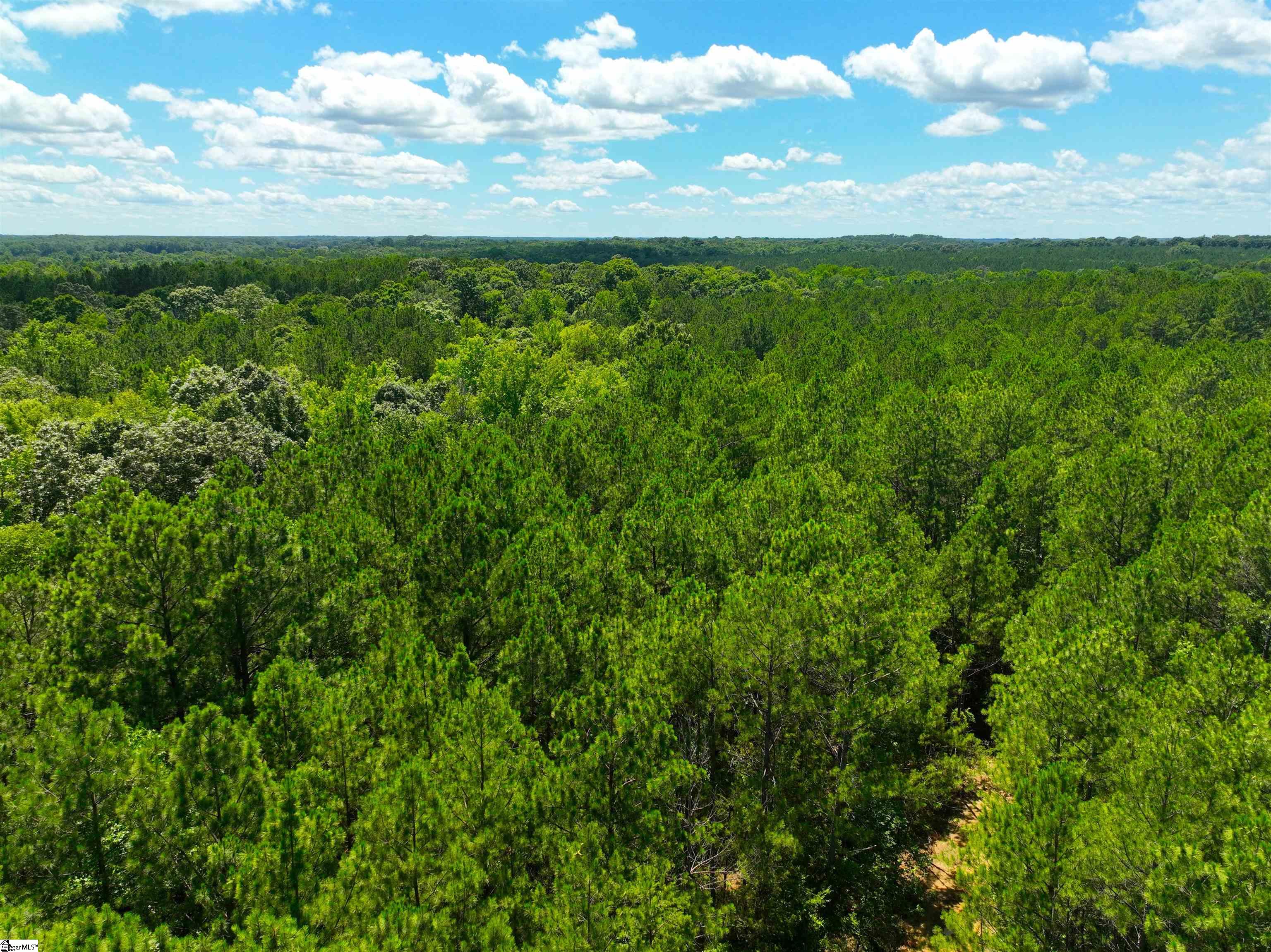 401 Coleman Road Clinton, SC 29325
