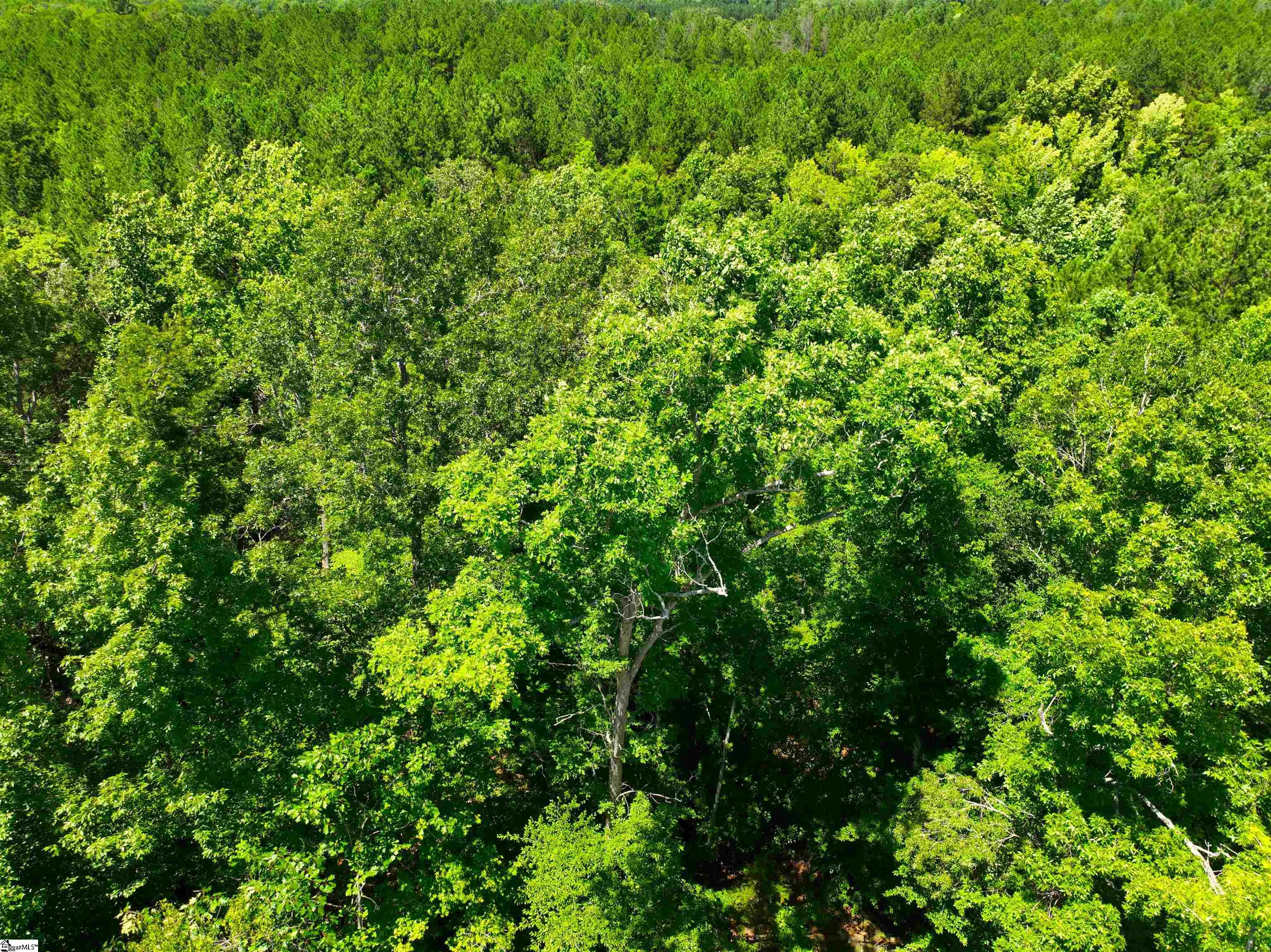 401 Coleman Road Clinton, SC 29325