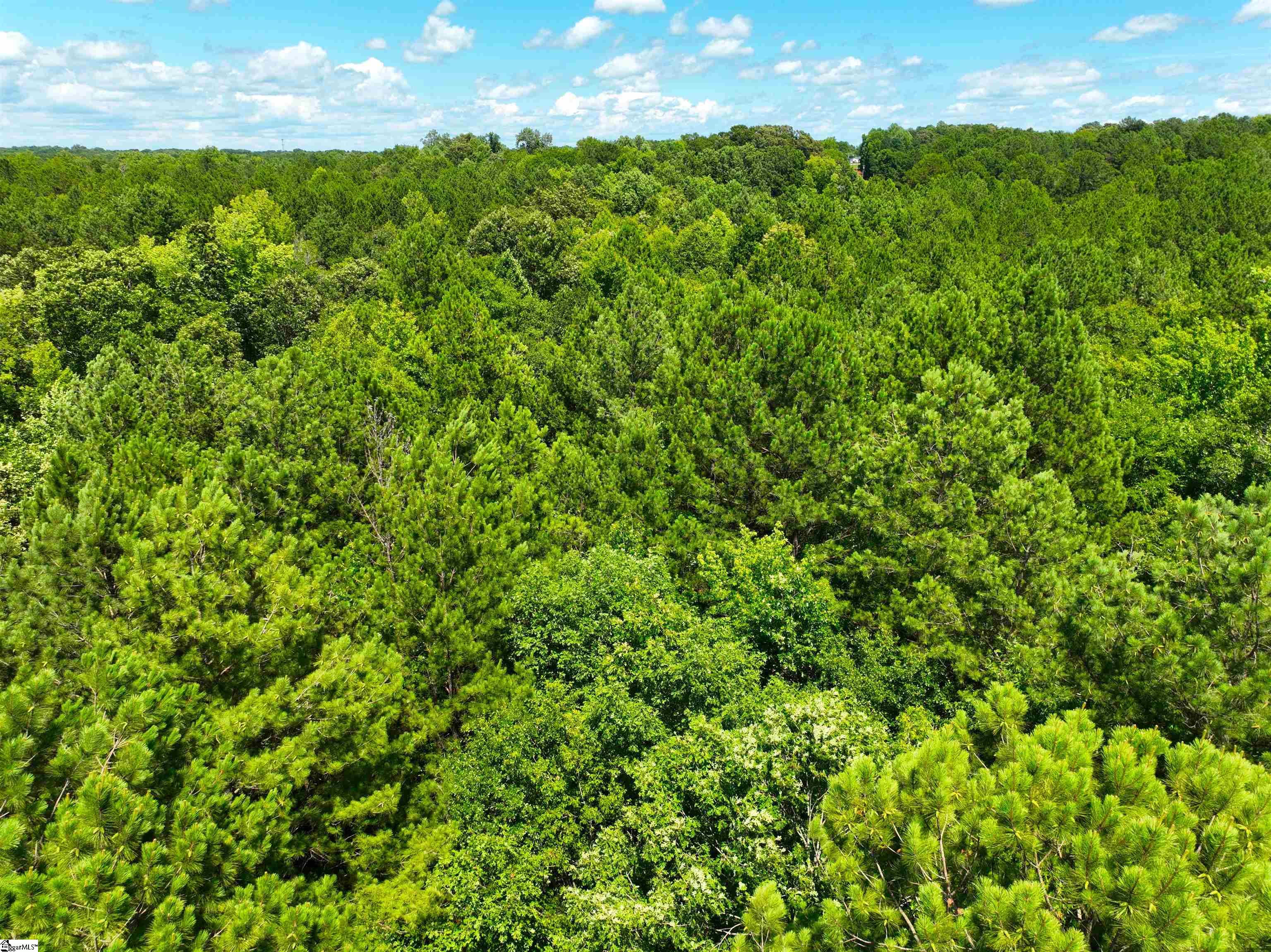 401 Coleman Road Clinton, SC 29325