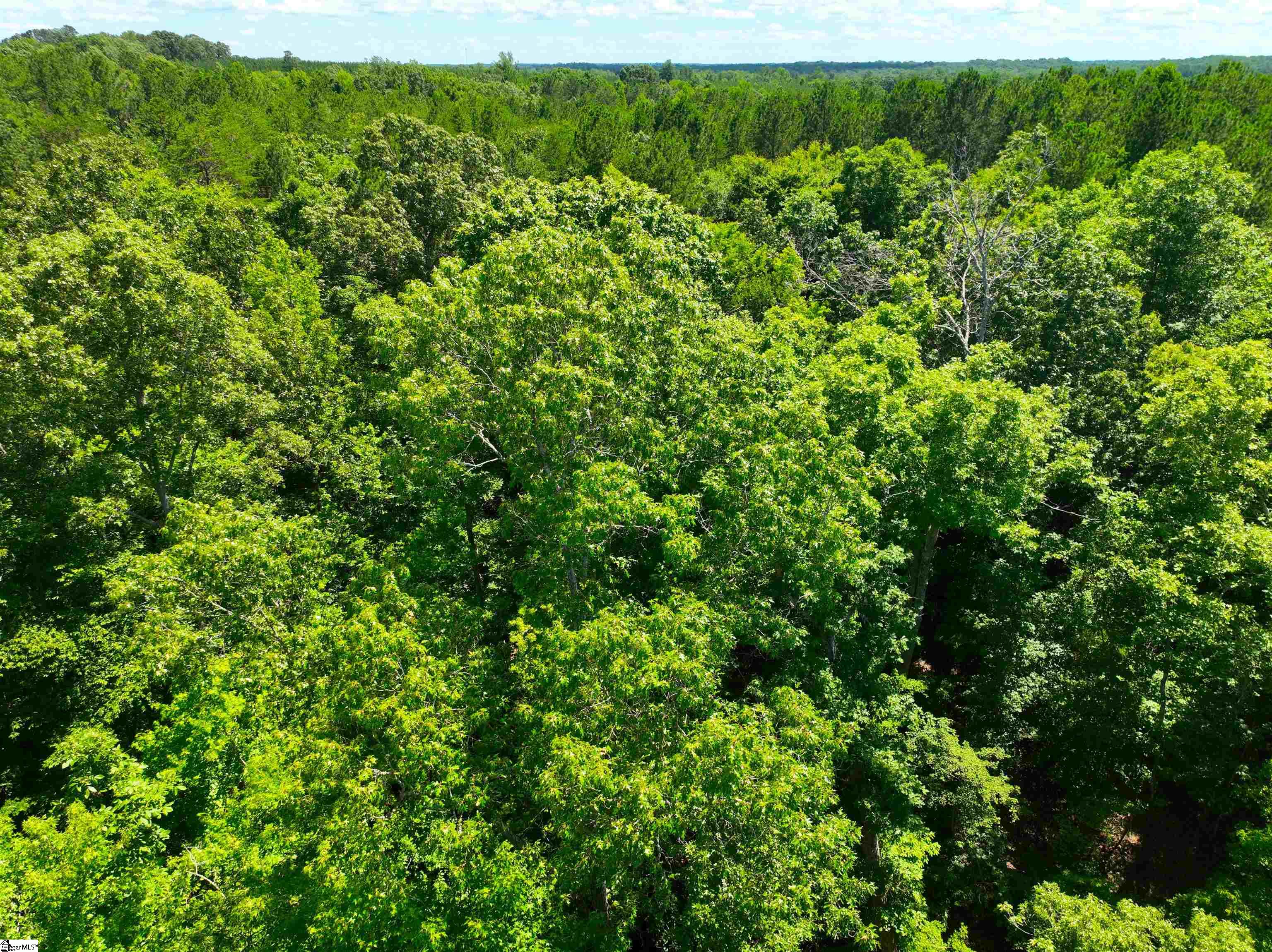 401 Coleman Road Clinton, SC 29325