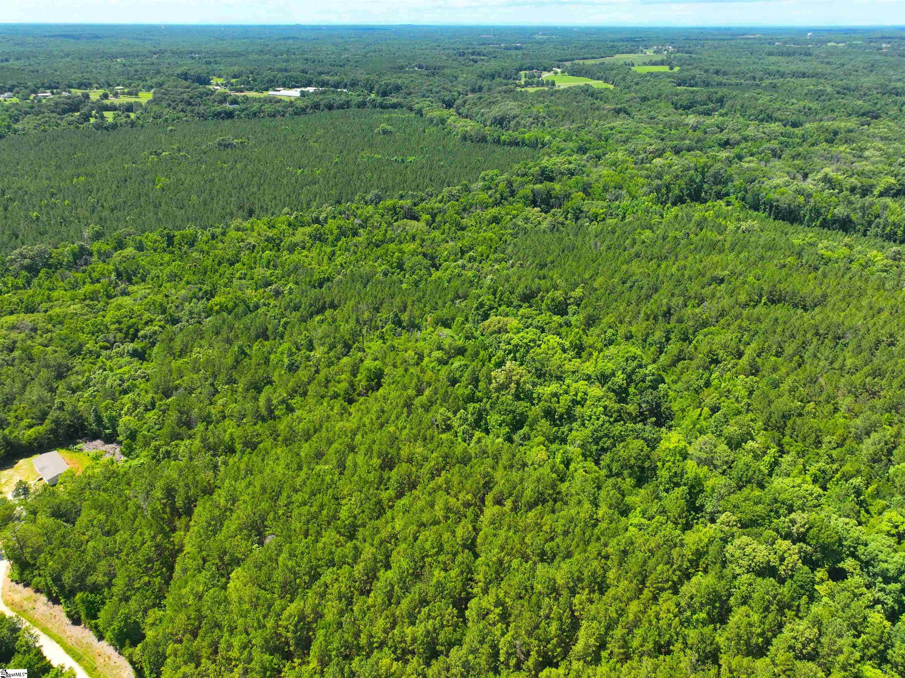401 Coleman Road Clinton, SC 29325