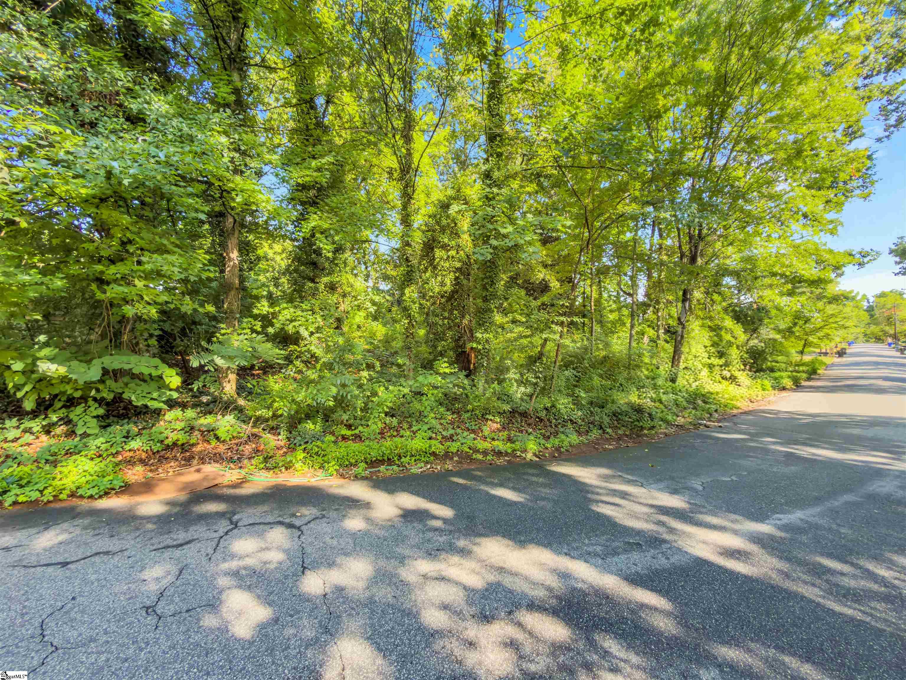N Avondale Drive Greenville, SC 29609