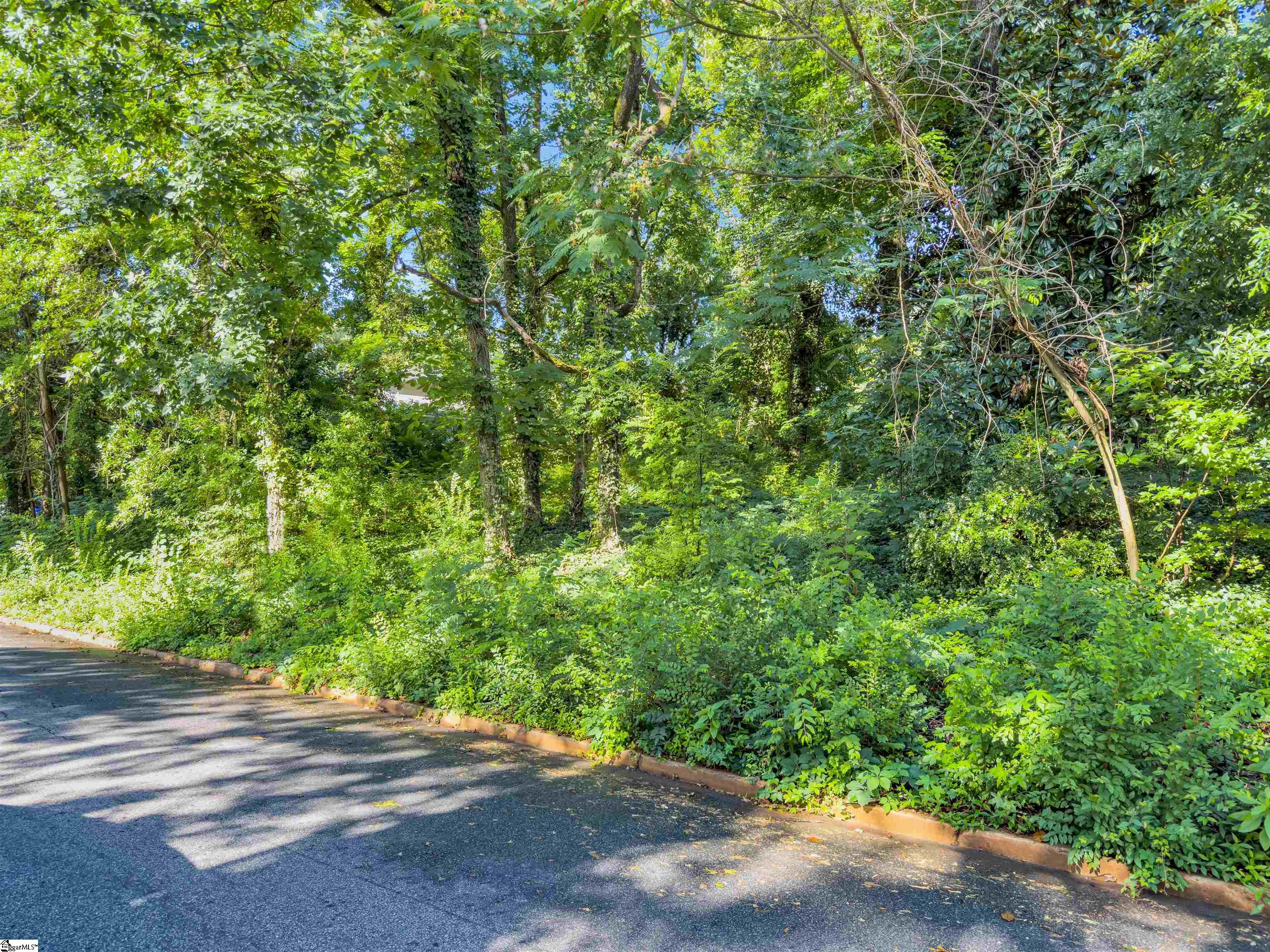 N Avondale Drive Greenville, SC 29609