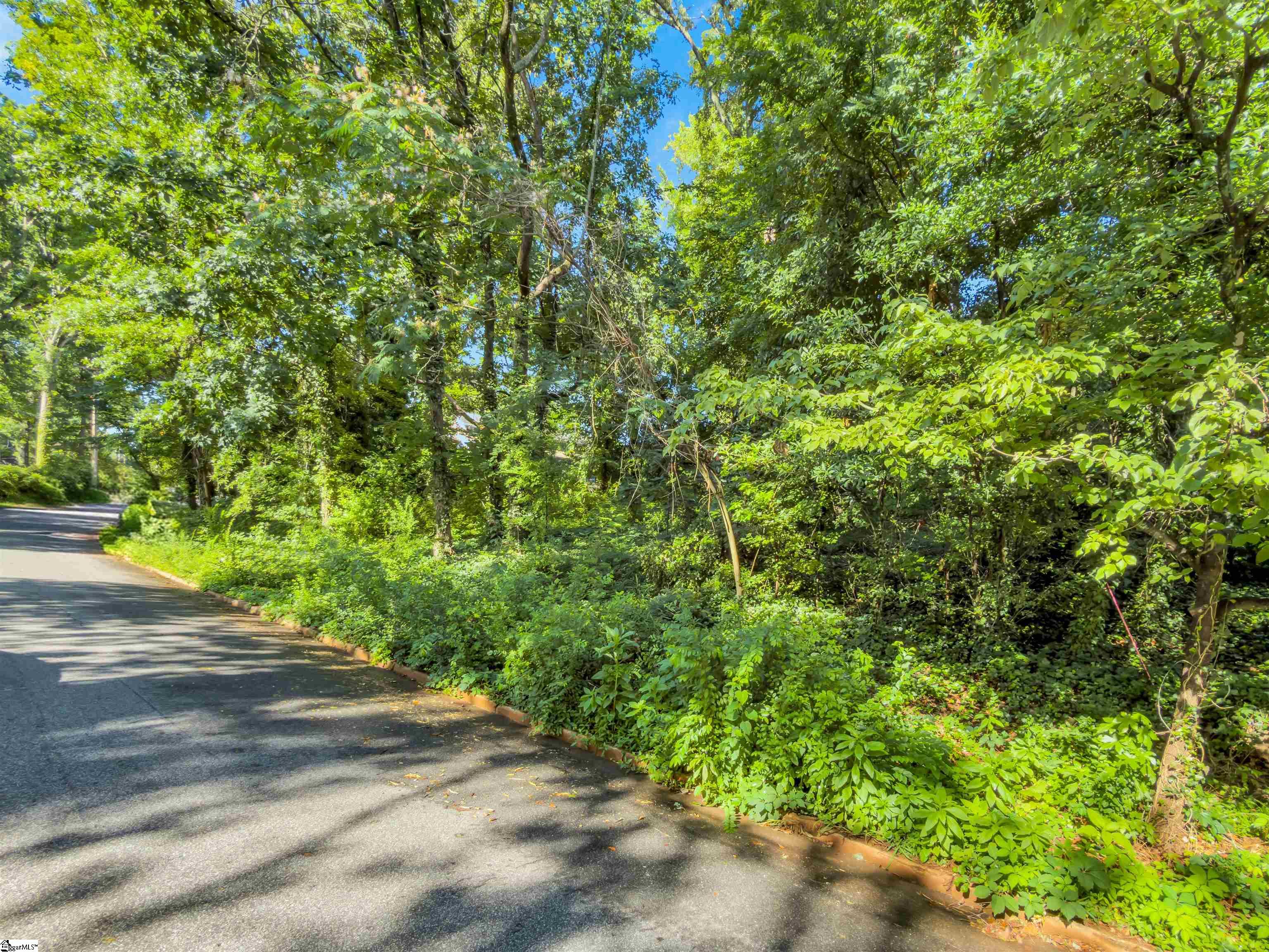 N Avondale Drive Greenville, SC 29609