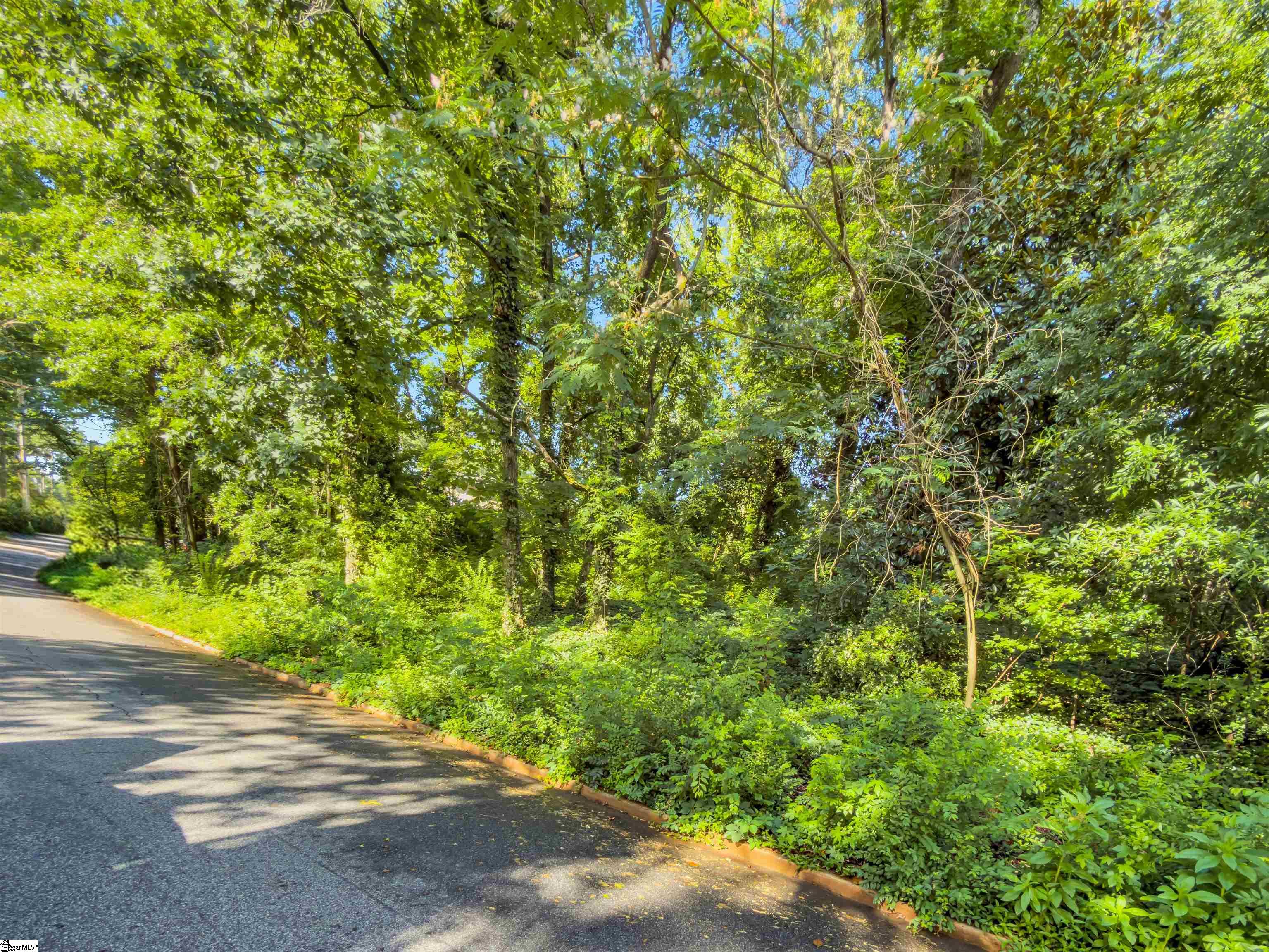 N Avondale Drive Greenville, SC 29609