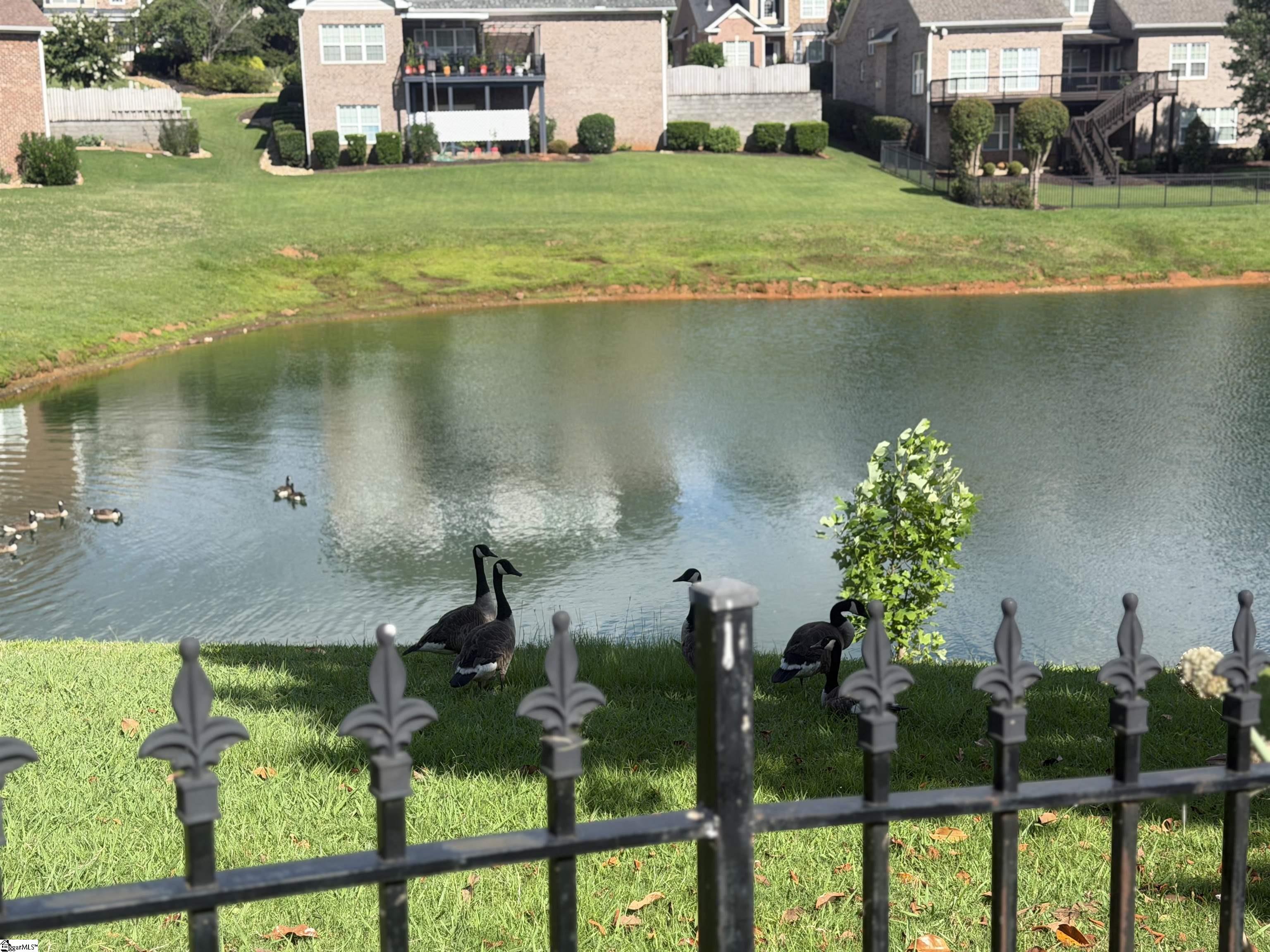 3 Garbor Court Greer, SC 29650