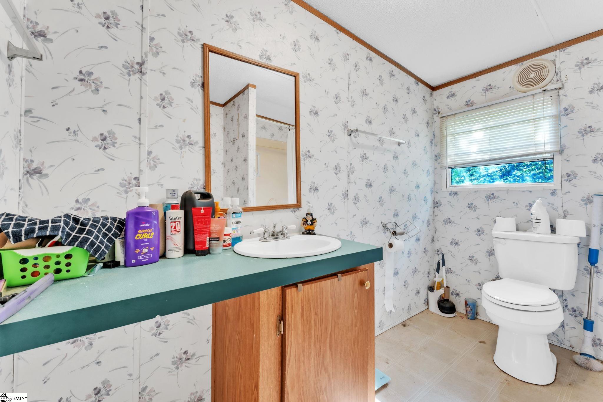 110 Diane Drive Easley, SC 29640