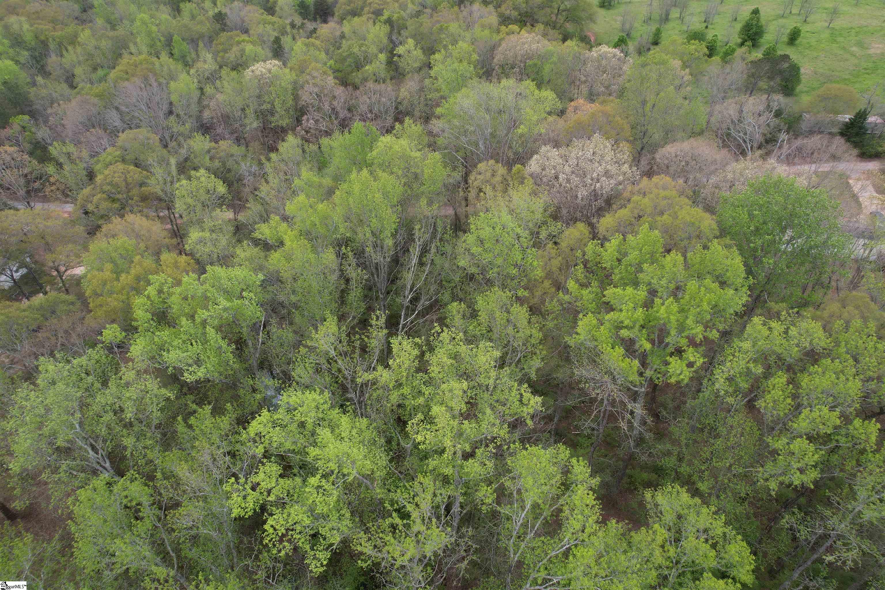 115 Dowell Road Anderson, SC 29626