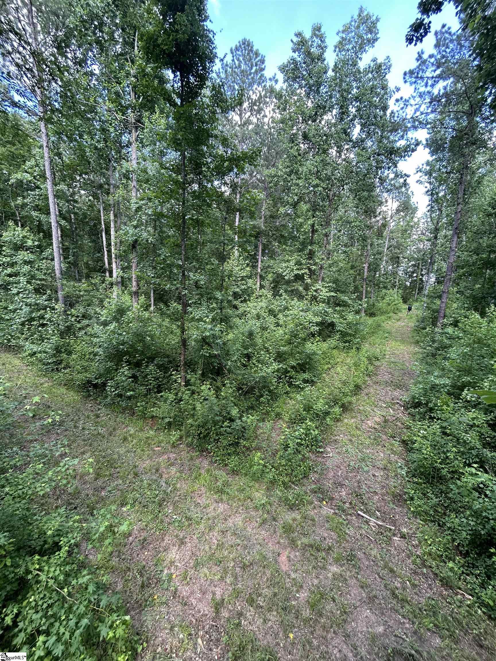 2318 Beaver Dam Creek Road Newberry, SC 29108
