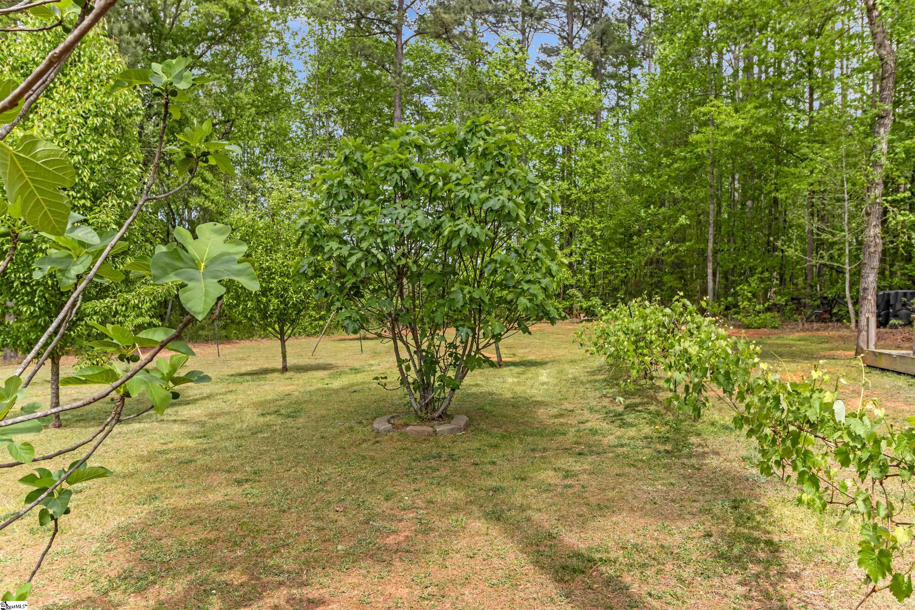 540 Bella Woods Trail Inman, SC 29349