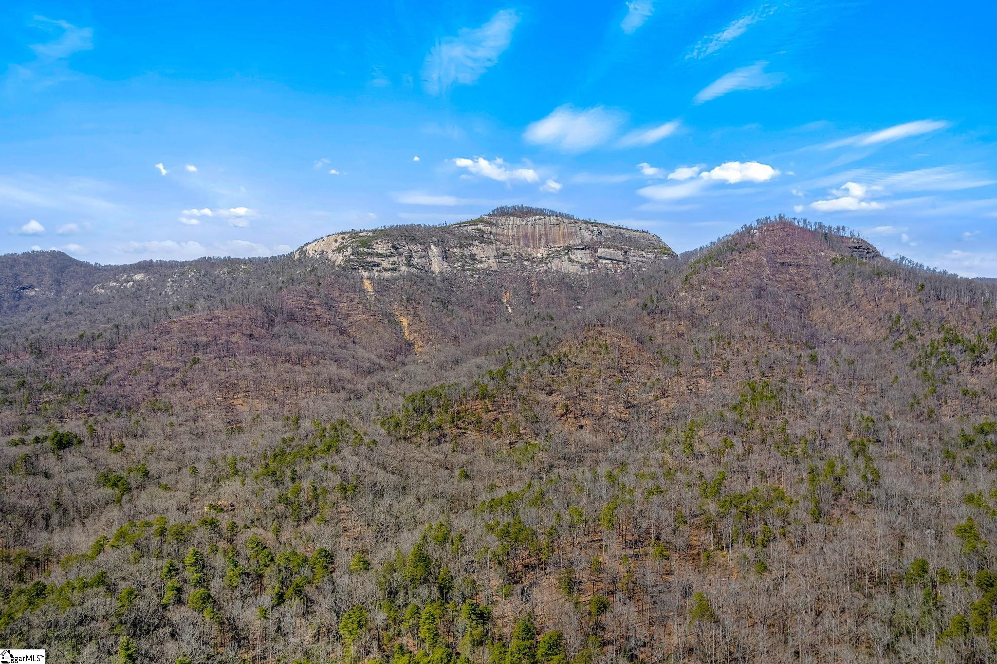 2109 Moorefield Memorial Highway Pickens, SC 29671