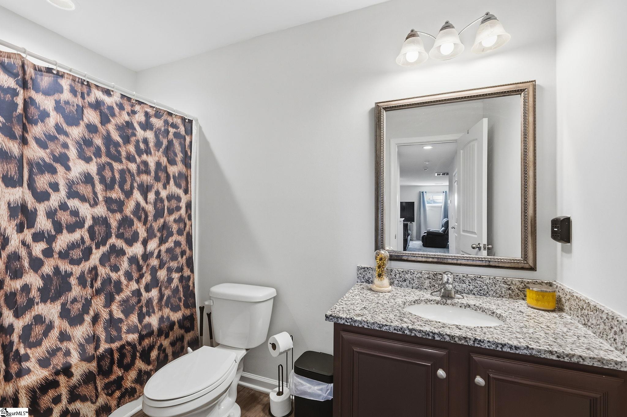310 Icebow Road Fountain Inn, SC 29644