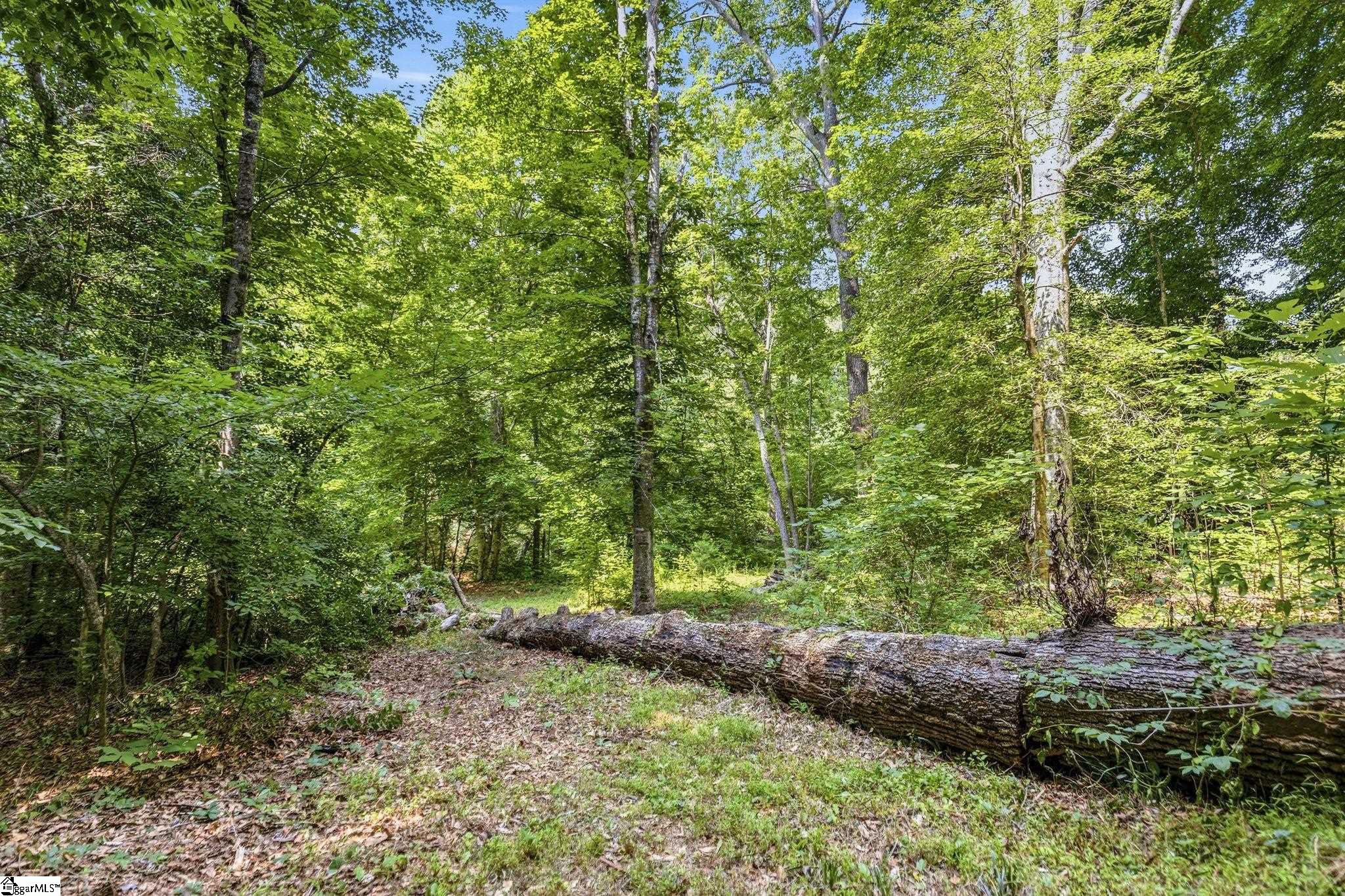 109 Cumberland Drive Moore, SC 29369-9723