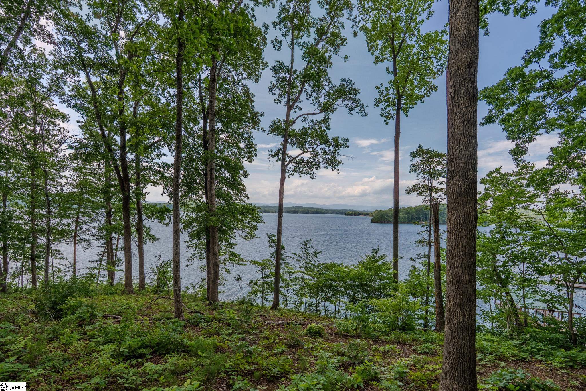 233 Sandy Hollow Court Six Mile, SC 29682