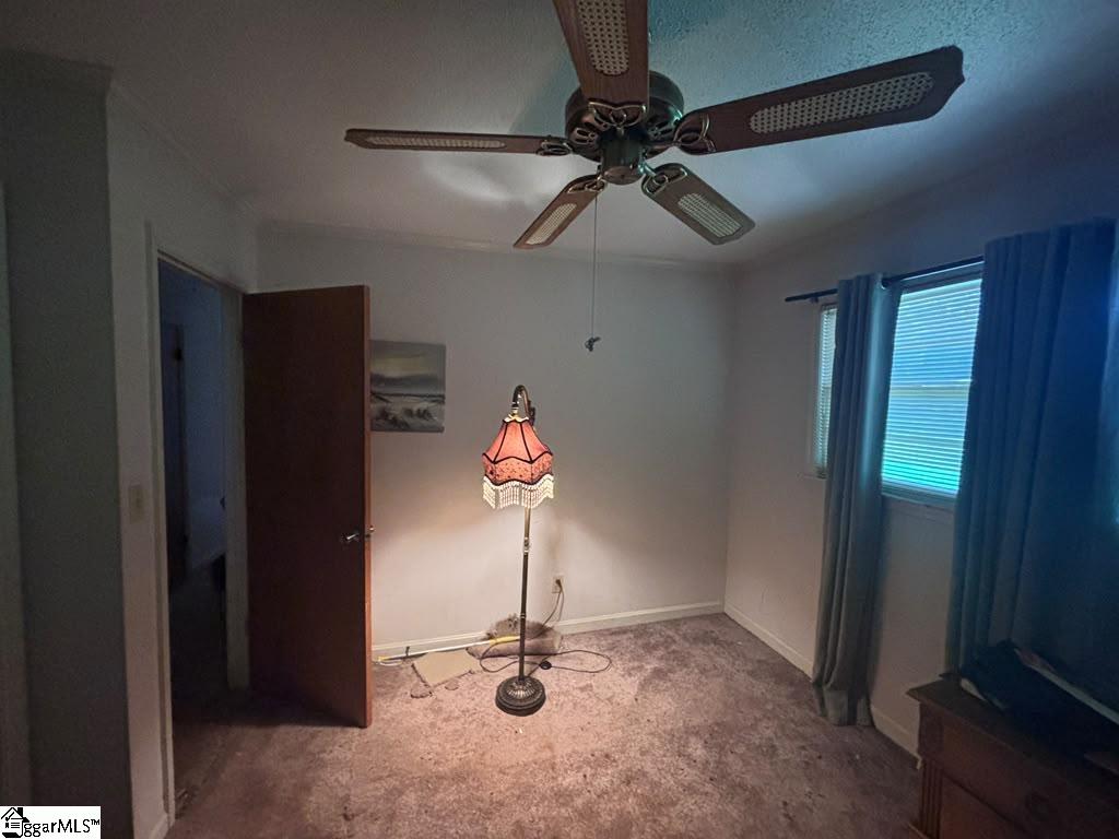 230 N Catherine Street Pickens, SC 29671-2209