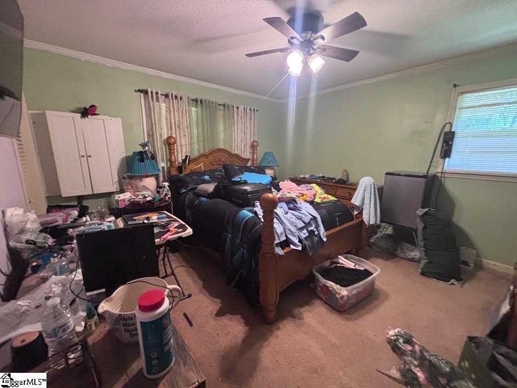 230 N Catherine Street Pickens, SC 29671-2209