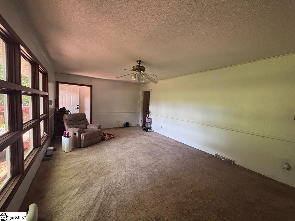 230 N Catherine Street Pickens, SC 29671-2209