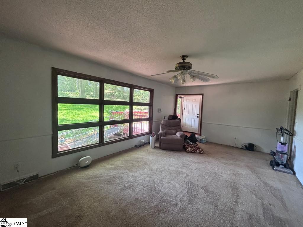 230 N Catherine Street Pickens, SC 29671-2209