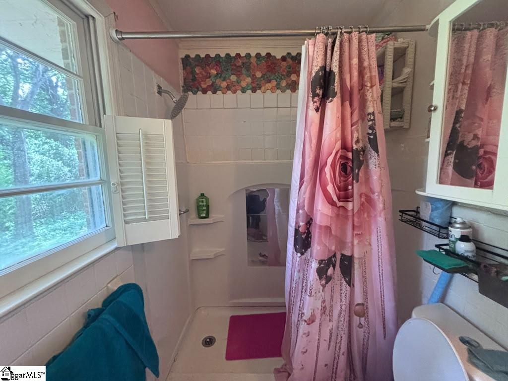 230 N Catherine Street Pickens, SC 29671-2209
