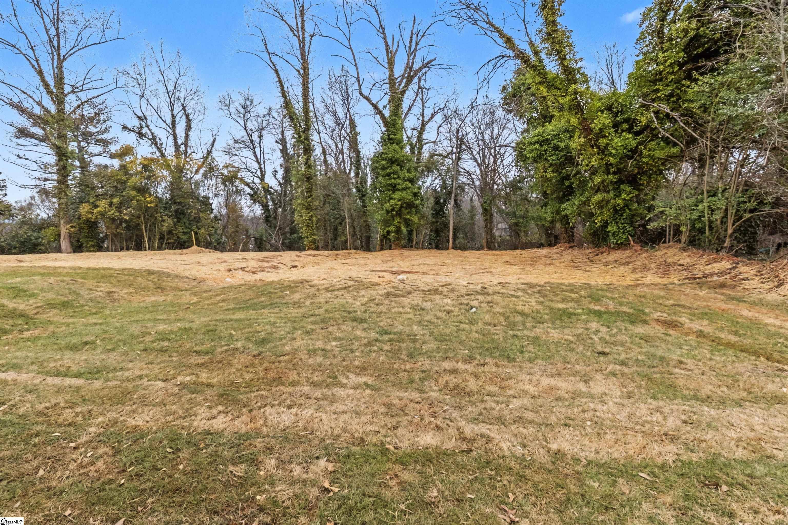 112 Spartanburg Street Greenville, SC 29609