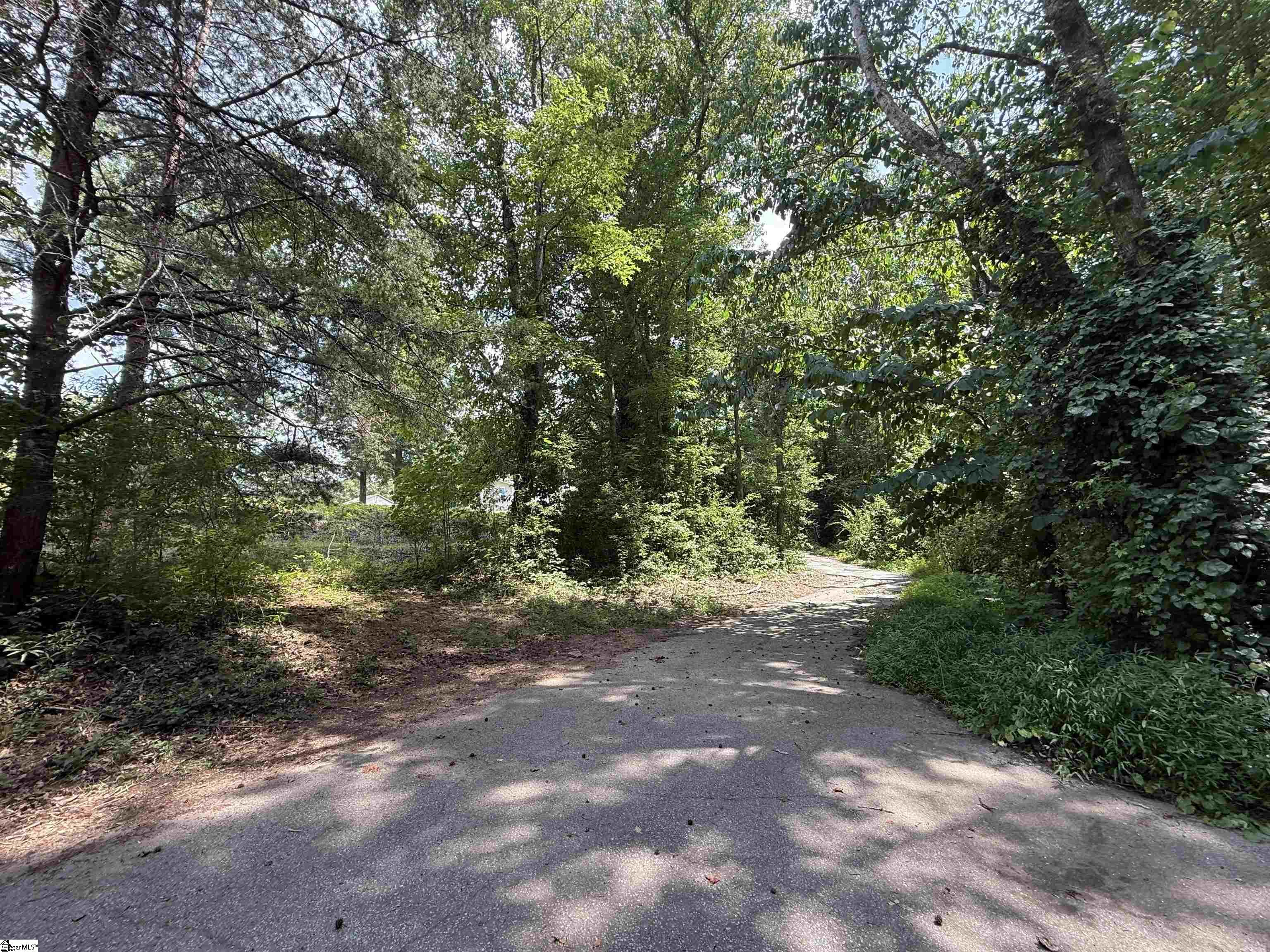 65 Randall Drive Taylors, SC 29687-6328
