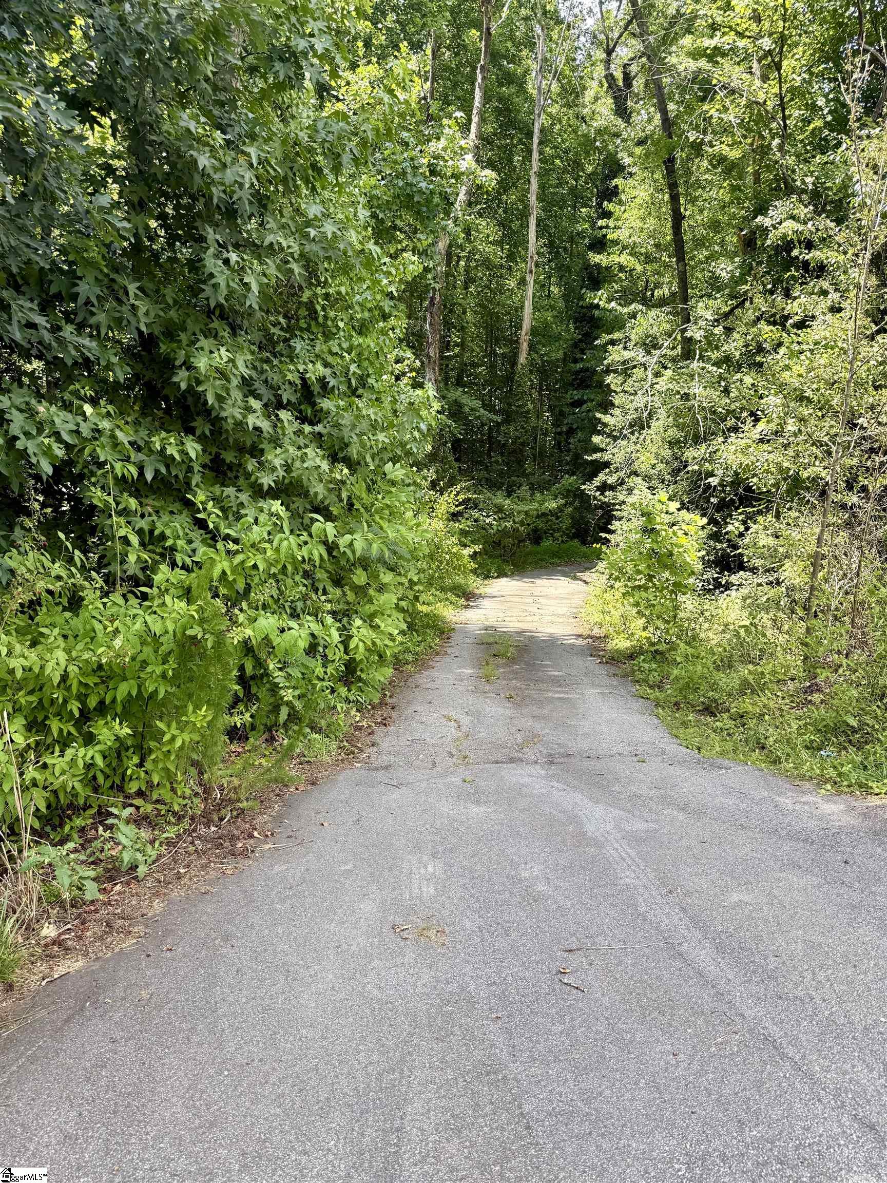 65 Randall Drive Taylors, SC 29687-6328