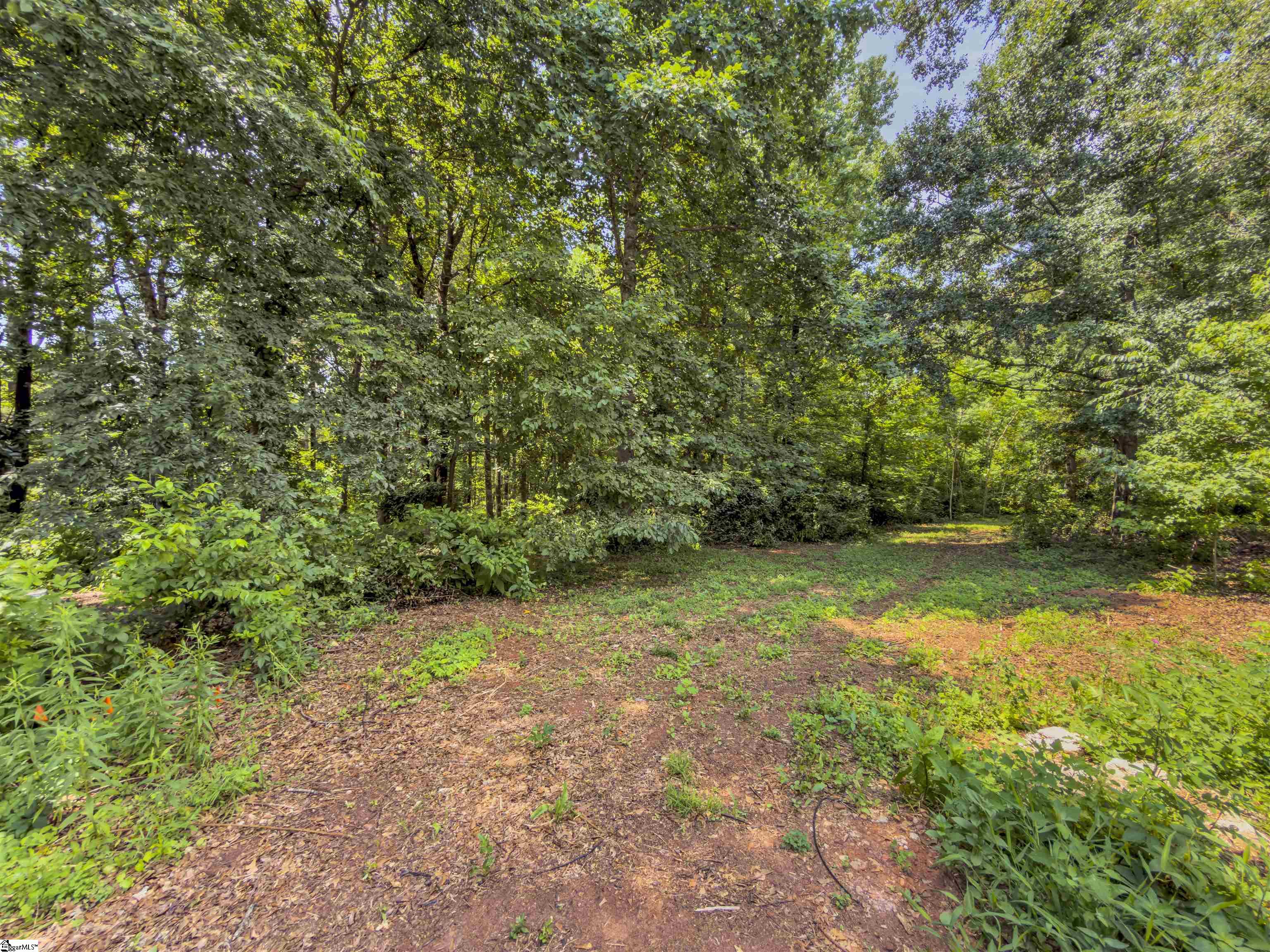 6 Peters Creek Court Simpsonville, SC 29681