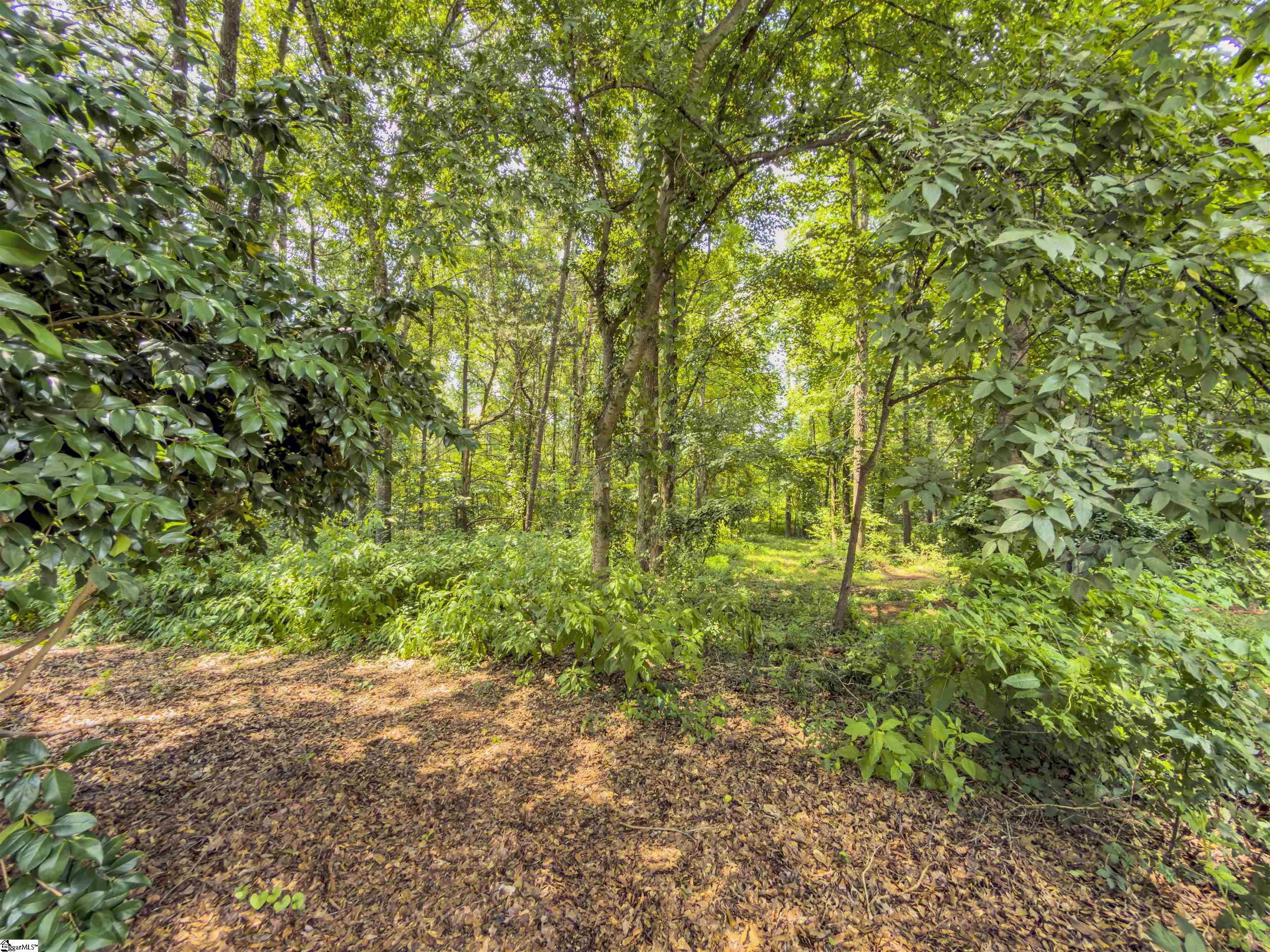 6 Peters Creek Court Simpsonville, SC 29681