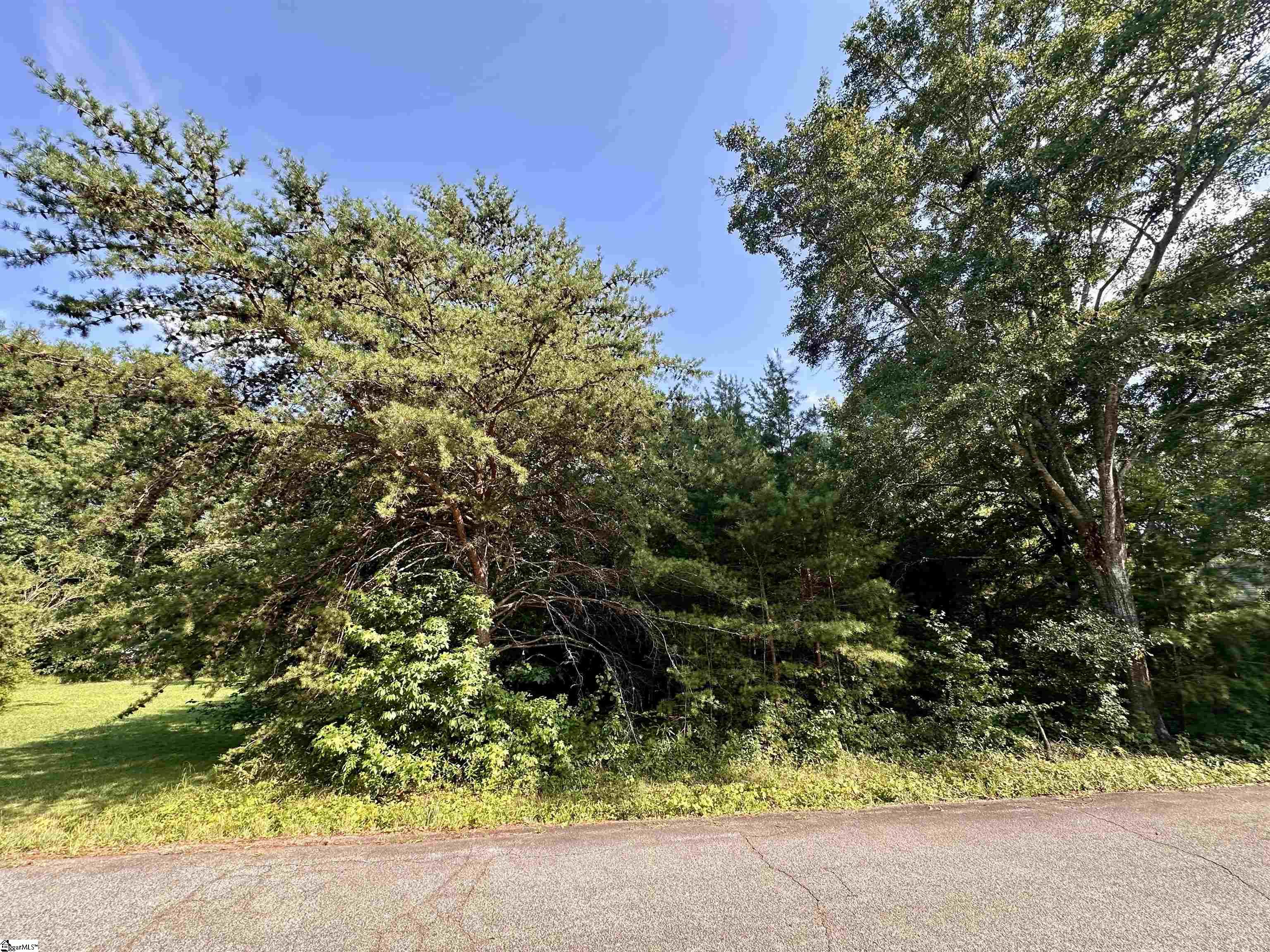 00 Carswell Drive Anderson, SC 29624