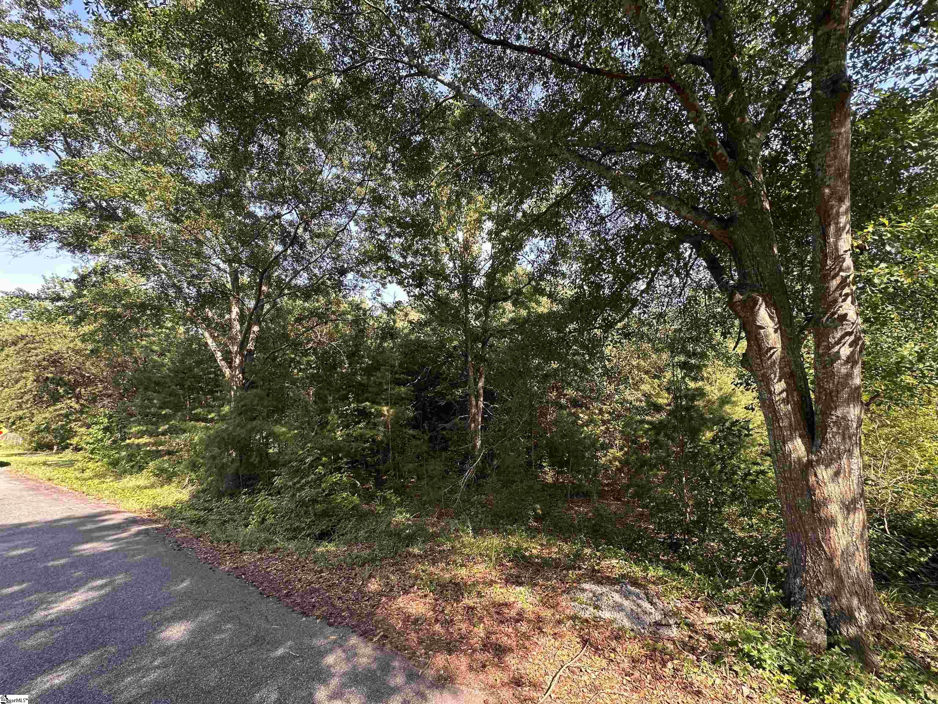 00 Carswell Drive Anderson, SC 29624