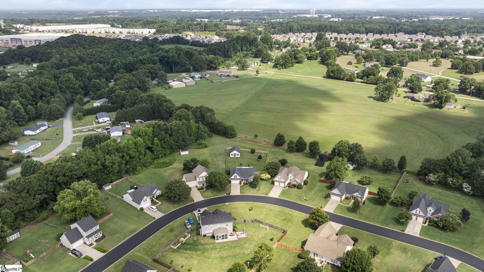 724 Golden Tanager Court Greer, SC 29651