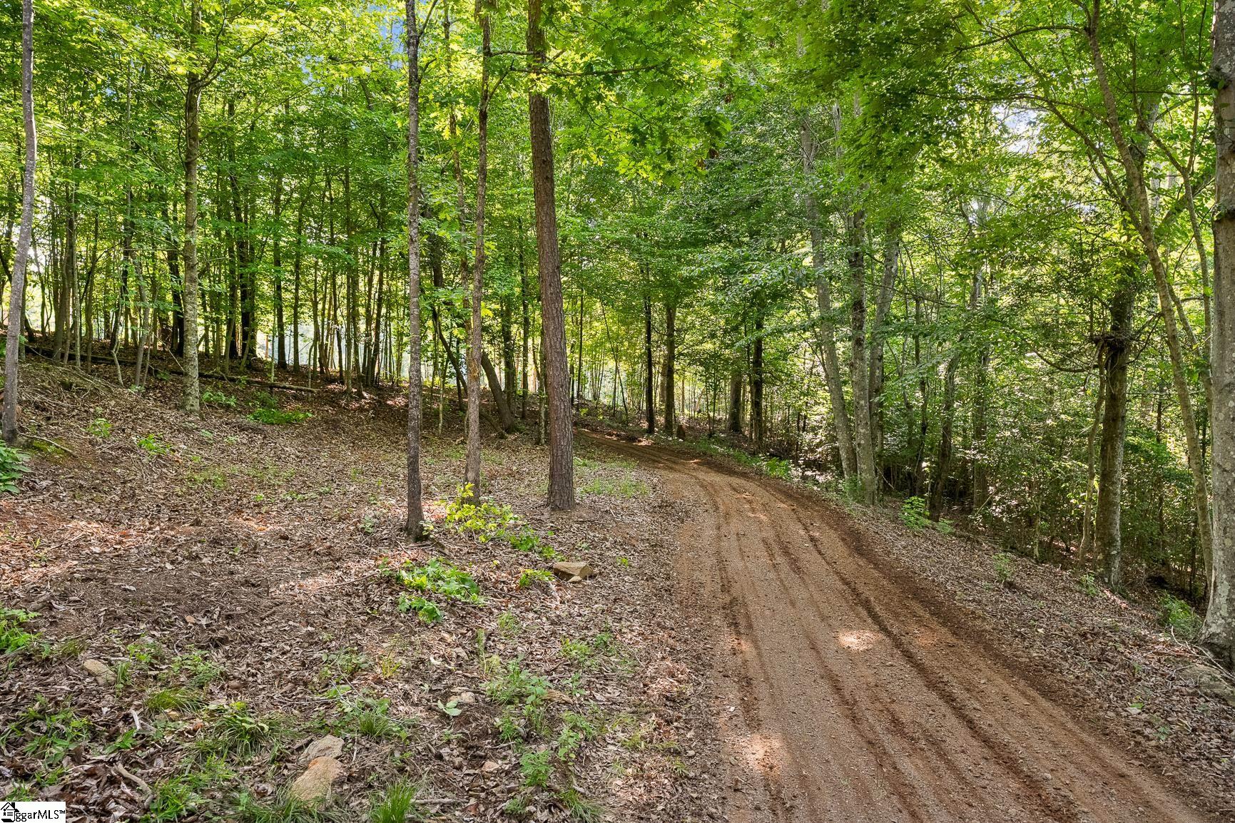 75 Hidden Acres Trail Pelzer, SC 29669
