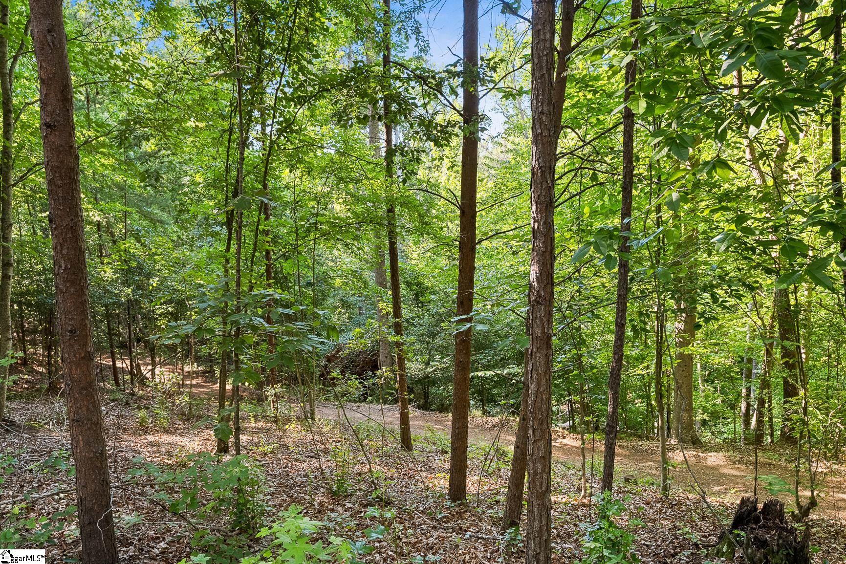 75 Hidden Acres Trail Pelzer, SC 29669