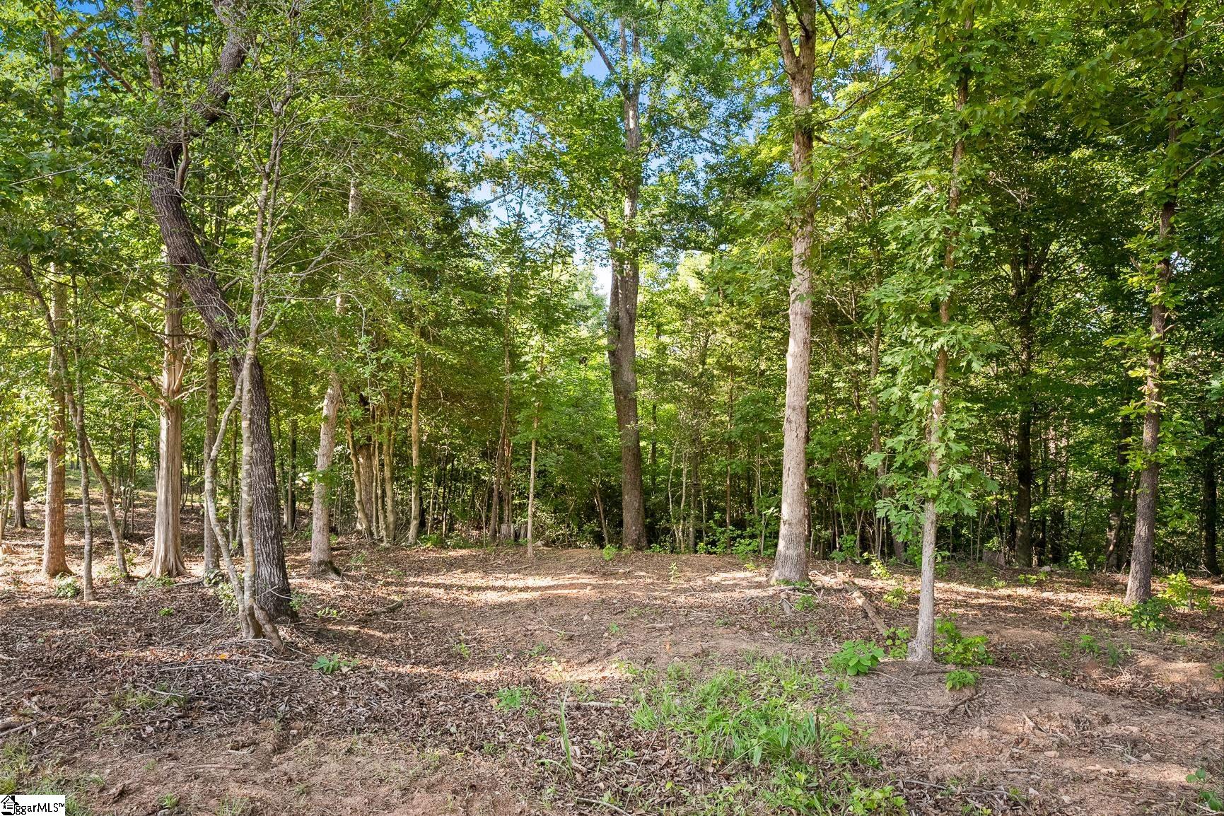 75 Hidden Acres Trail Pelzer, SC 29669