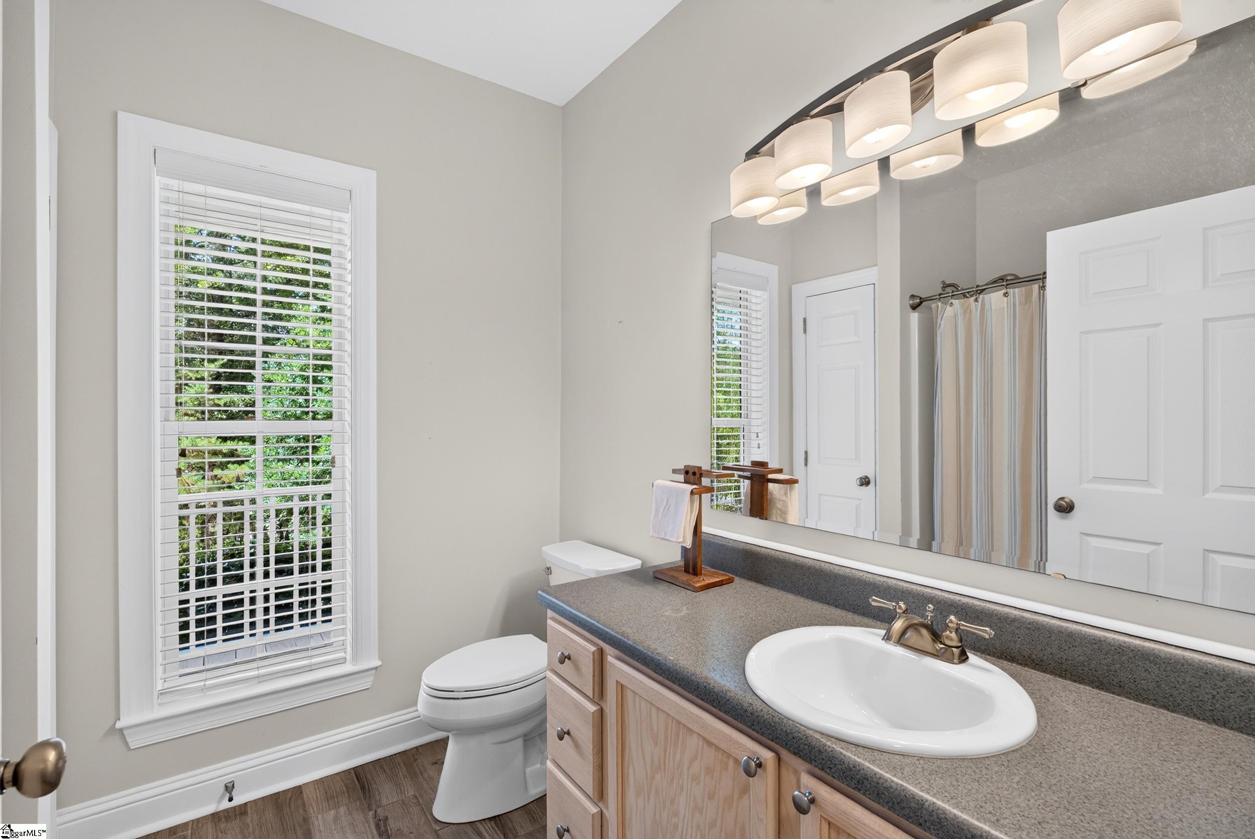 748 N Elm Avenue Landrum, SC 29356-9722