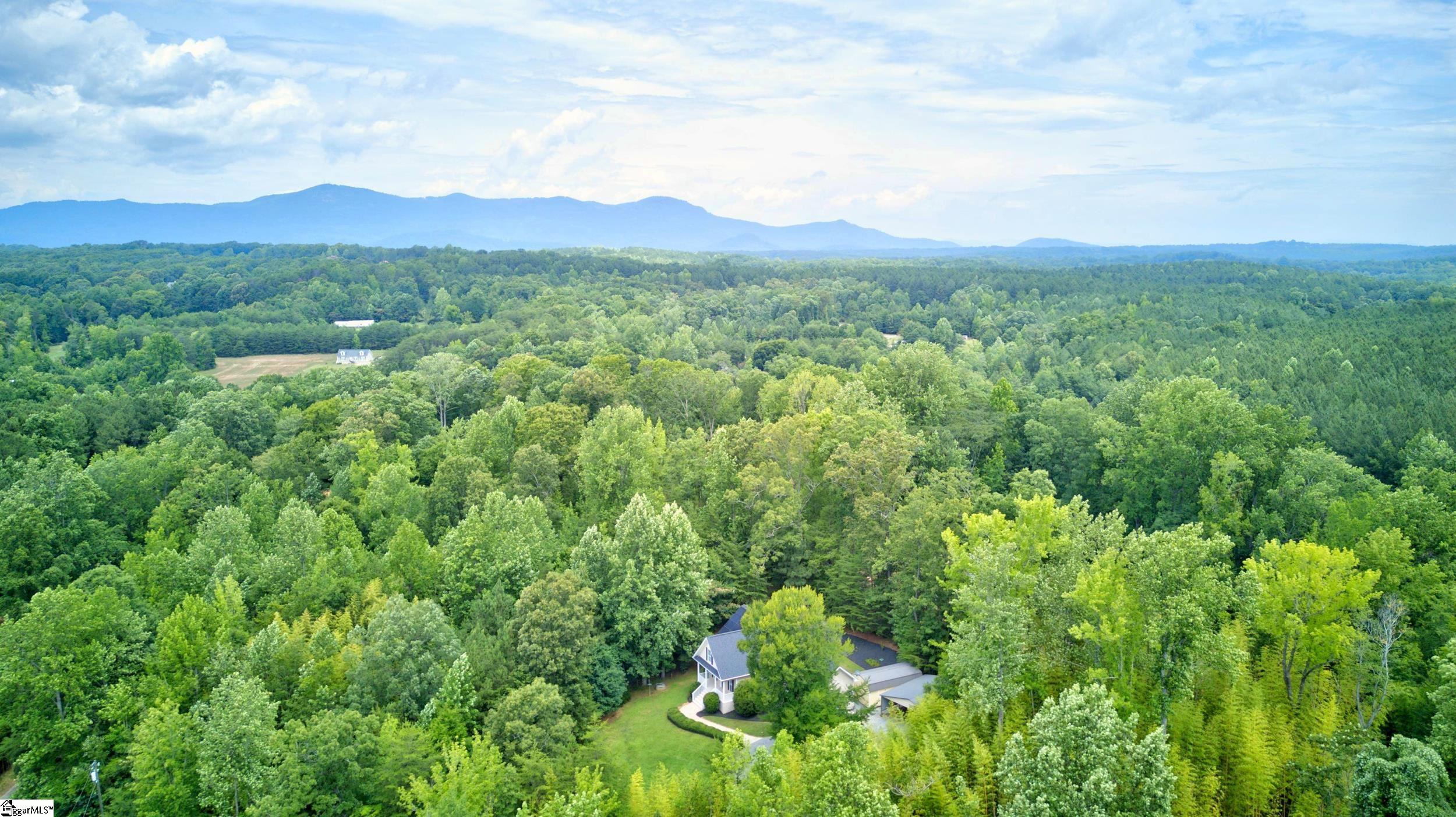 748 N Elm Avenue Landrum, SC 29356-9722