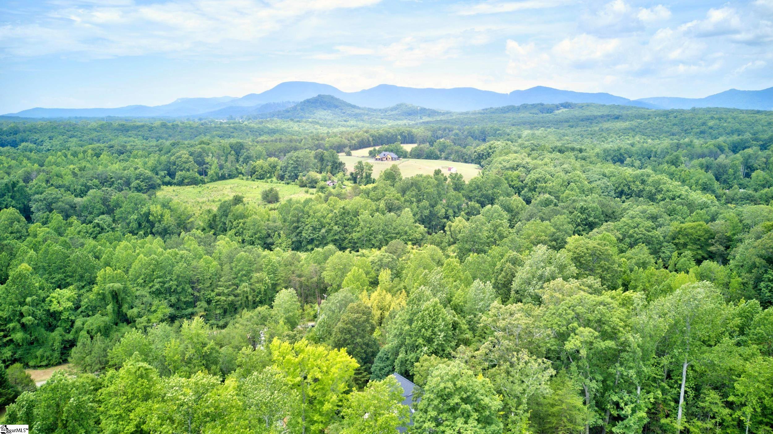 748 N Elm Avenue Landrum, SC 29356-9722