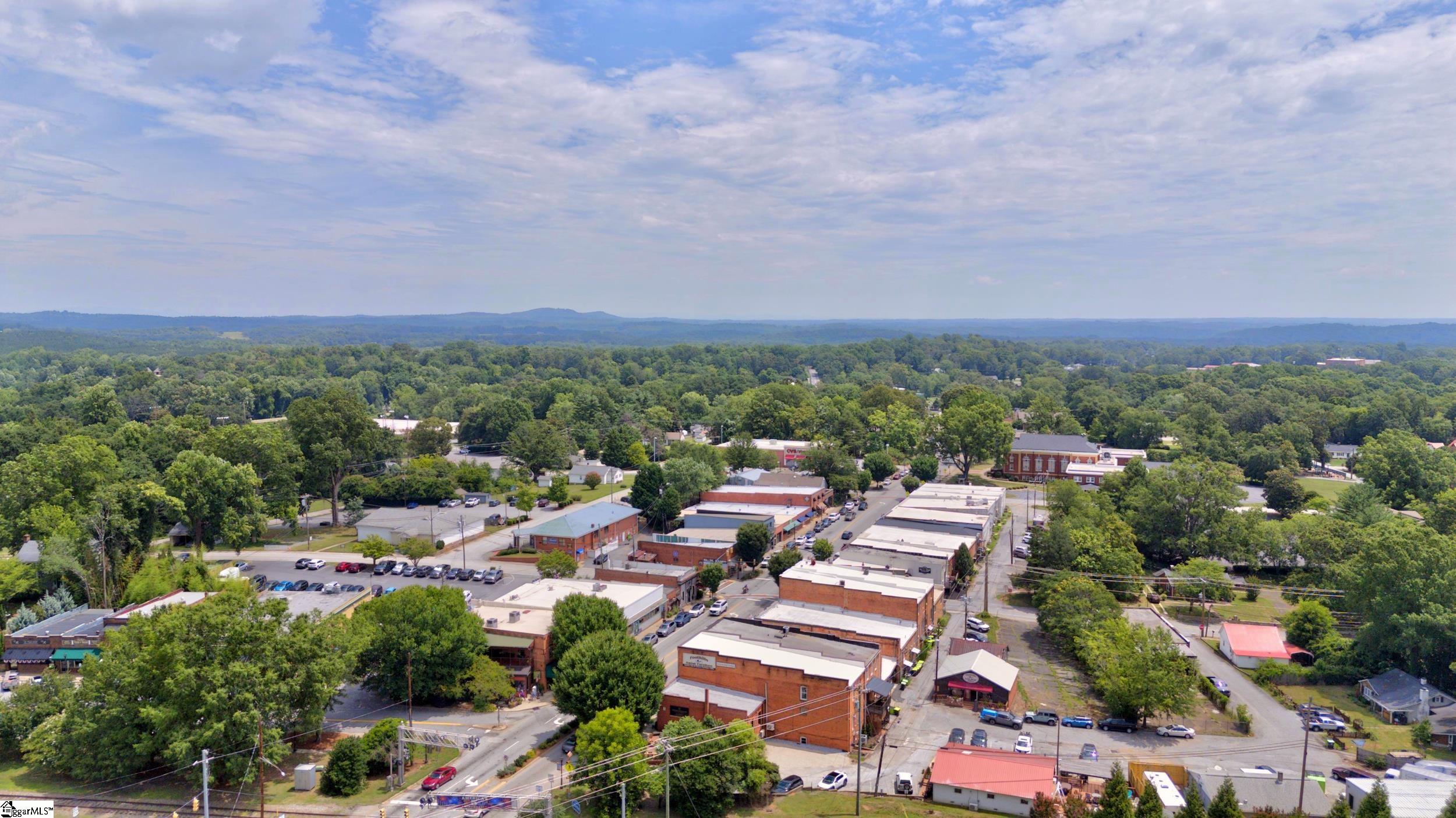 748 N Elm Avenue Landrum, SC 29356-9722