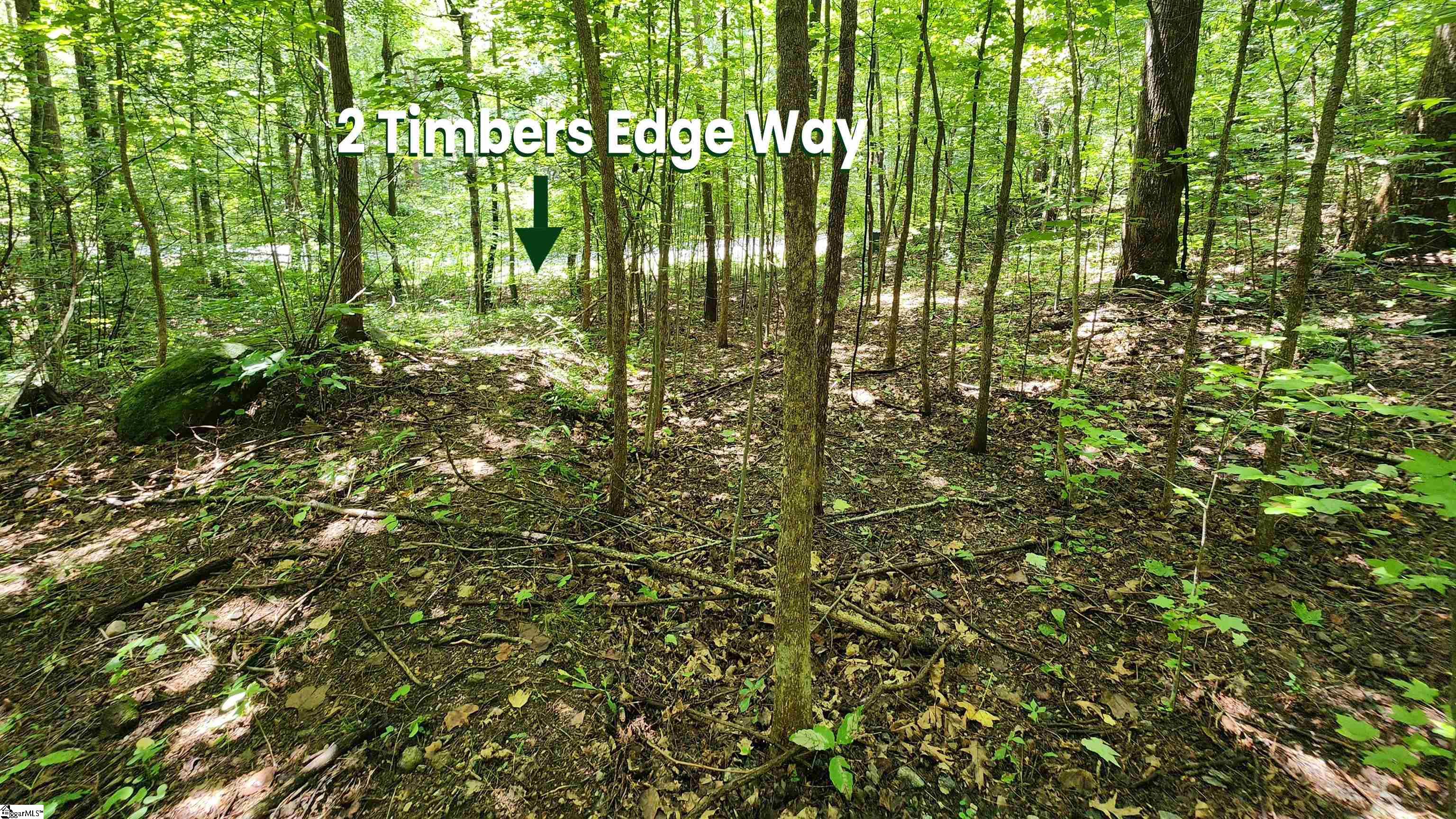 2 Timbers Edge Way Travelers Rest, SC 29690