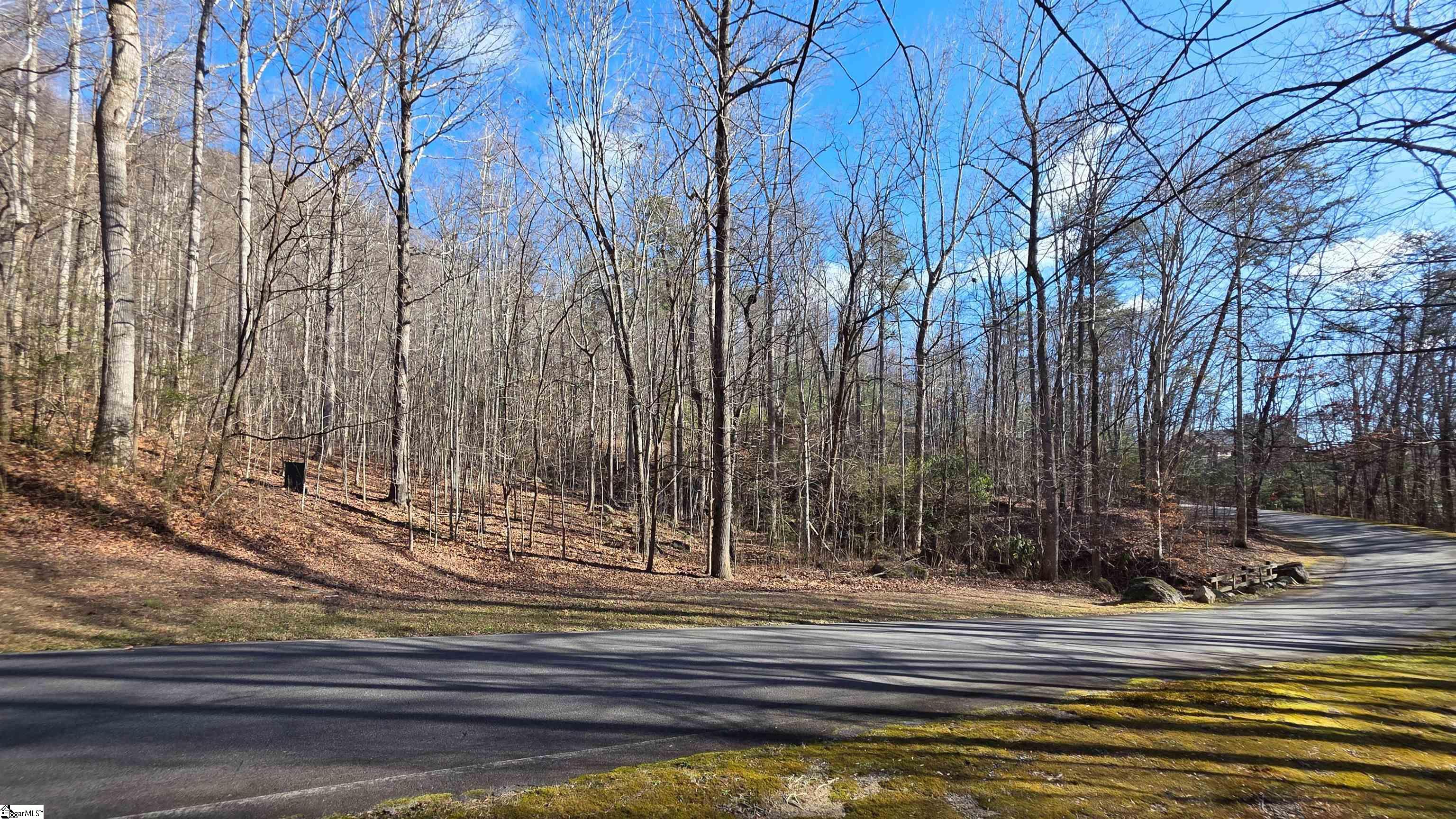 2 Timbers Edge Way Travelers Rest, SC 29690