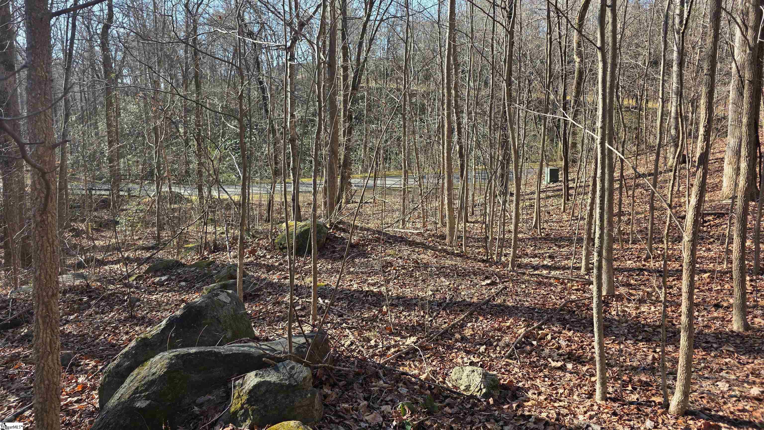 2 Timbers Edge Way Travelers Rest, SC 29690