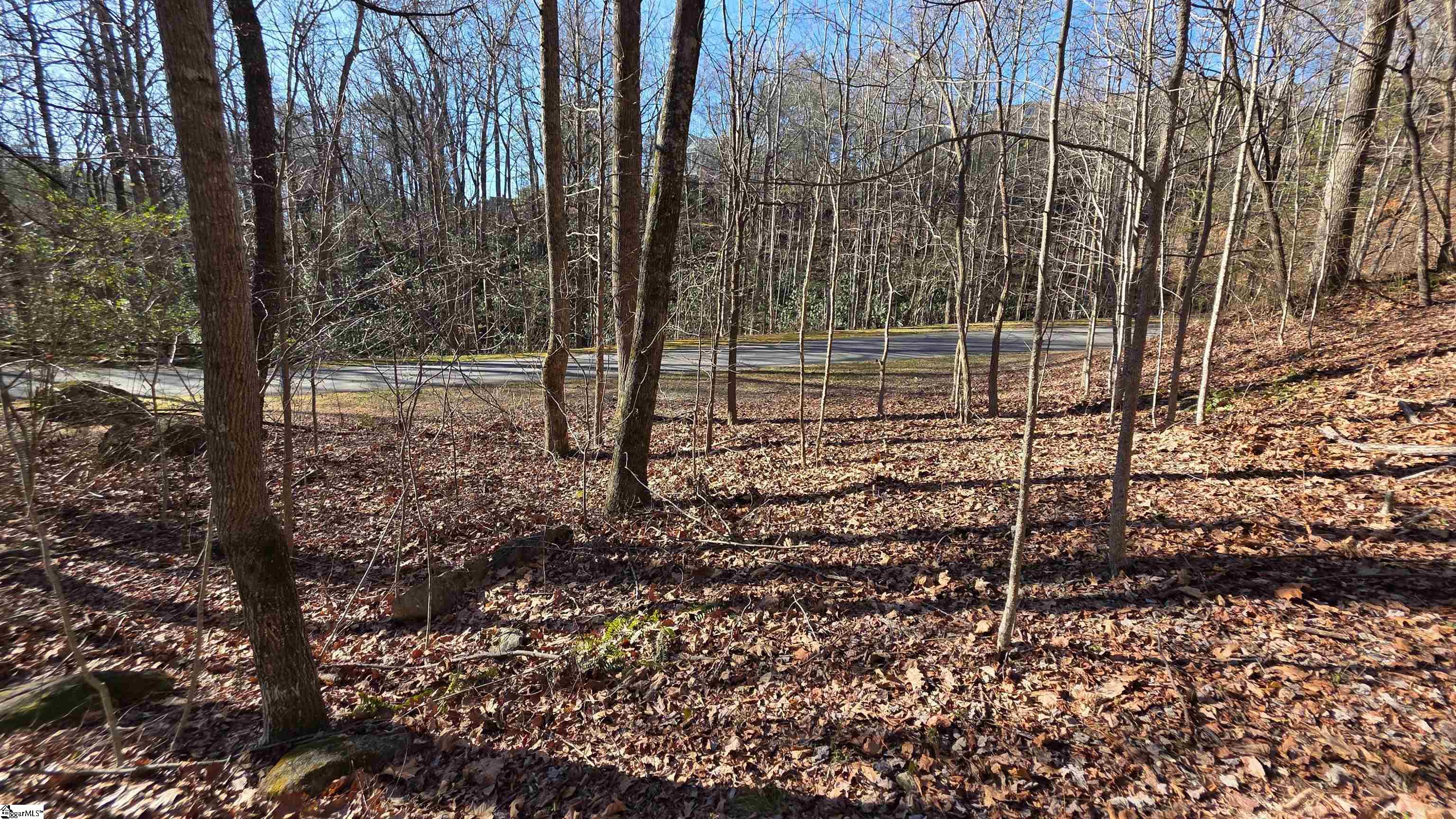 2 Timbers Edge Way Travelers Rest, SC 29690