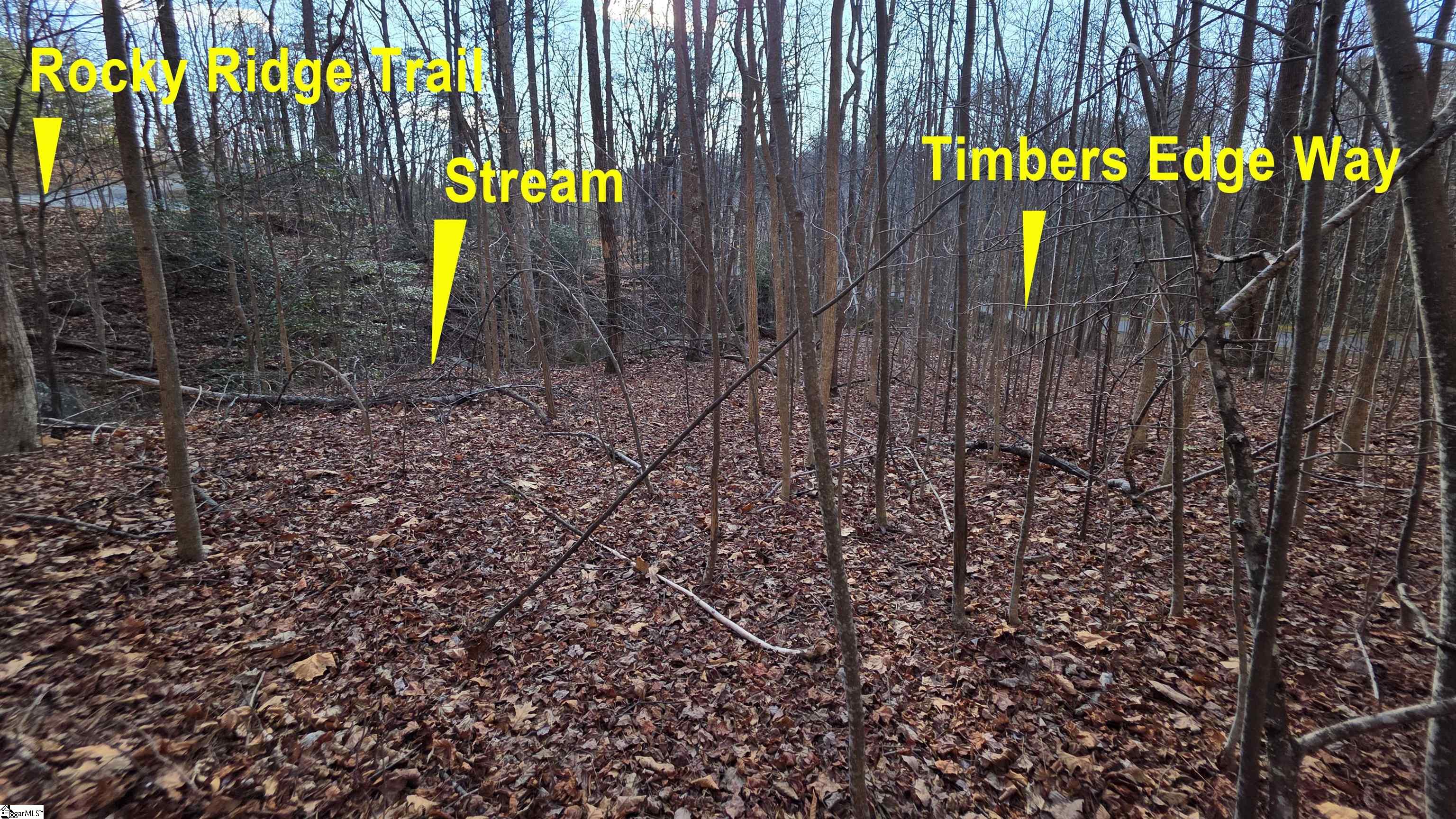 2 Timbers Edge Way Travelers Rest, SC 29690