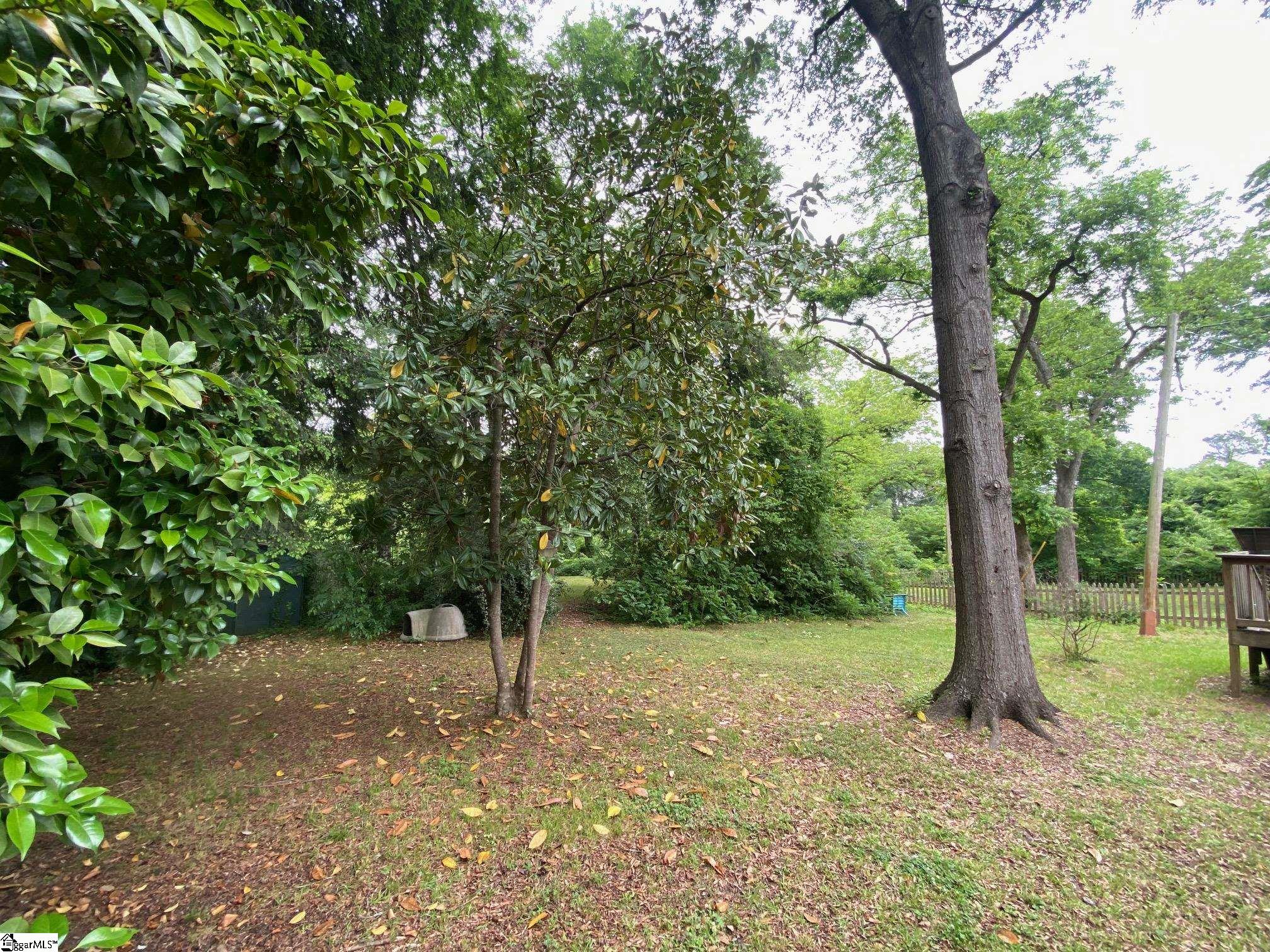 302 Jones Street Laurens, SC 29360