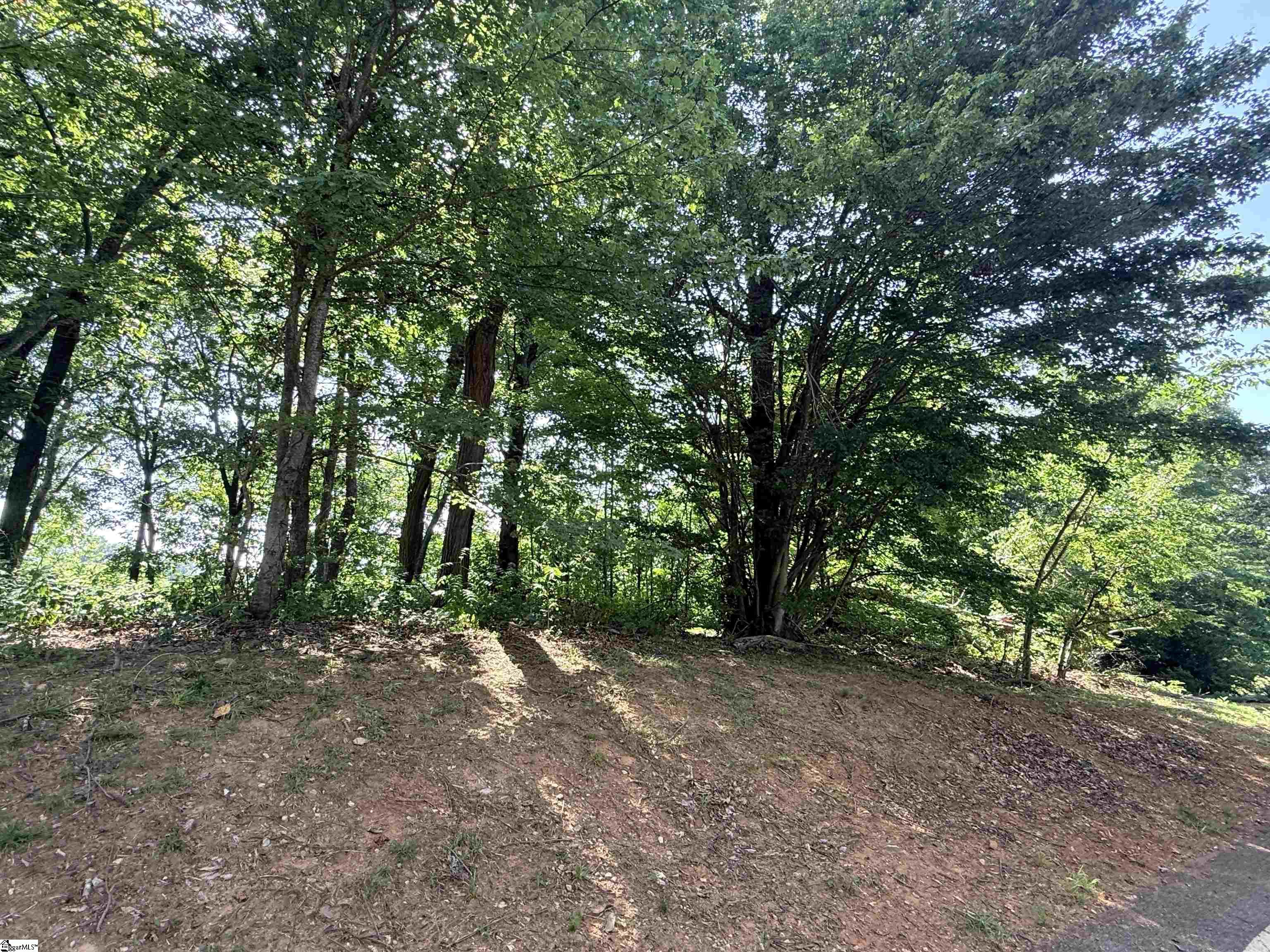 147 Raptor Way Landrum, SC 29635