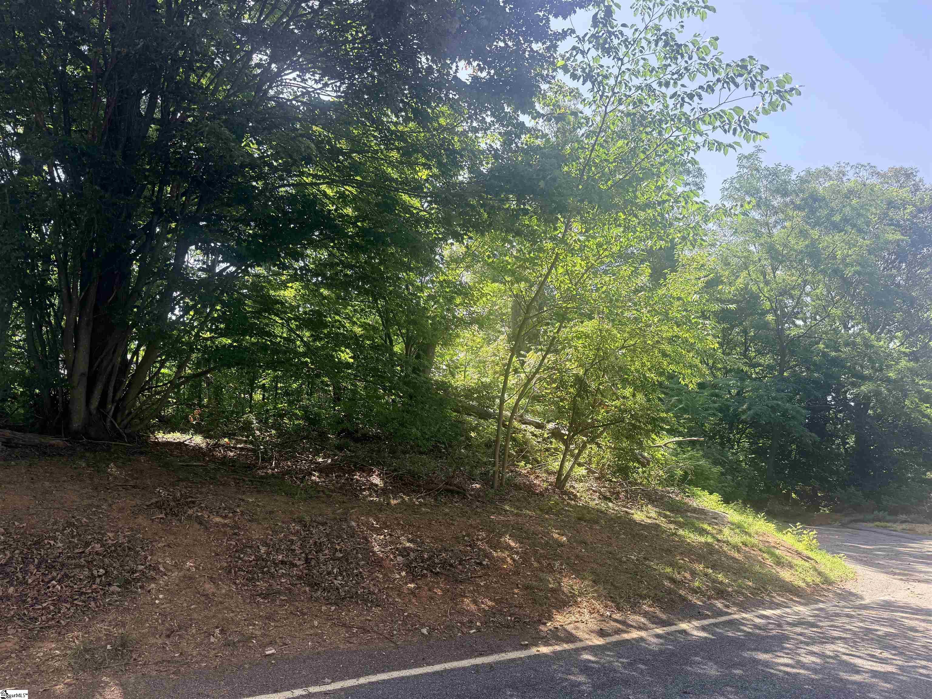 147 Raptor Way Landrum, SC 29635