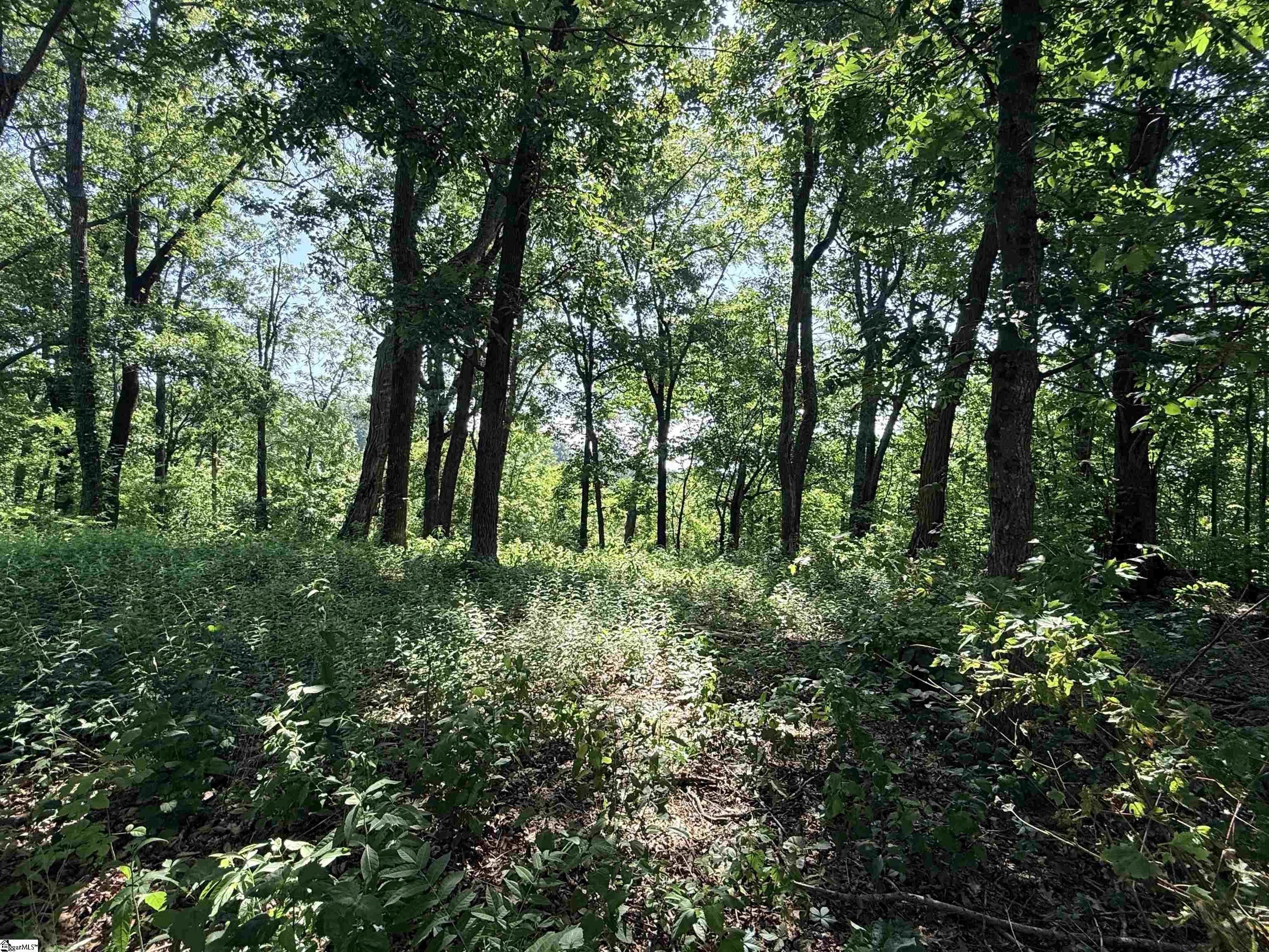 147 Raptor Way Landrum, SC 29635